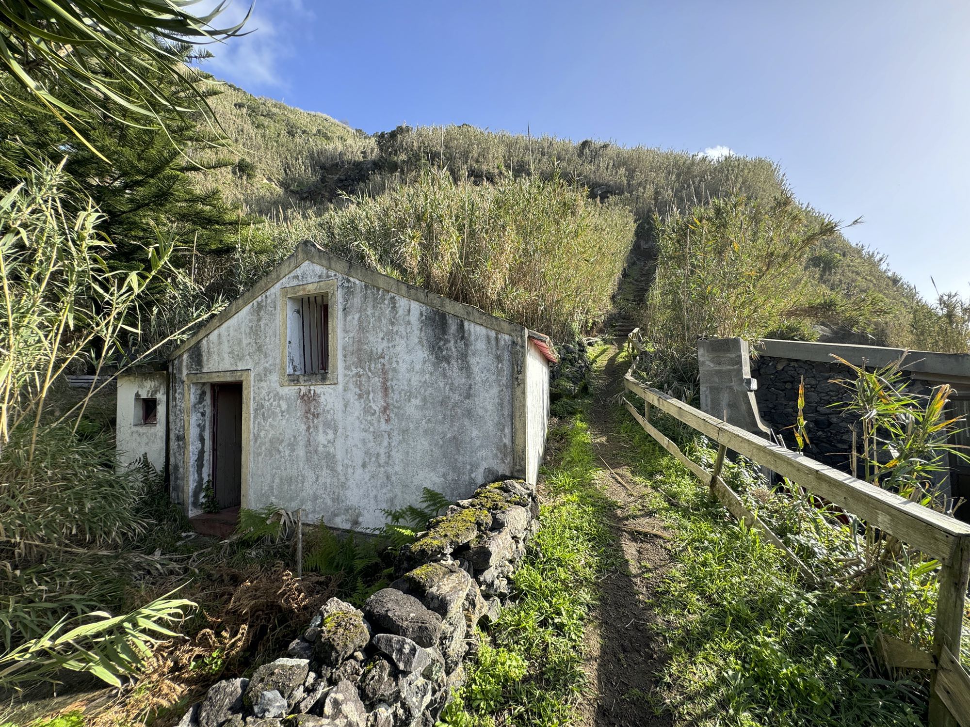 Galeriebild 10