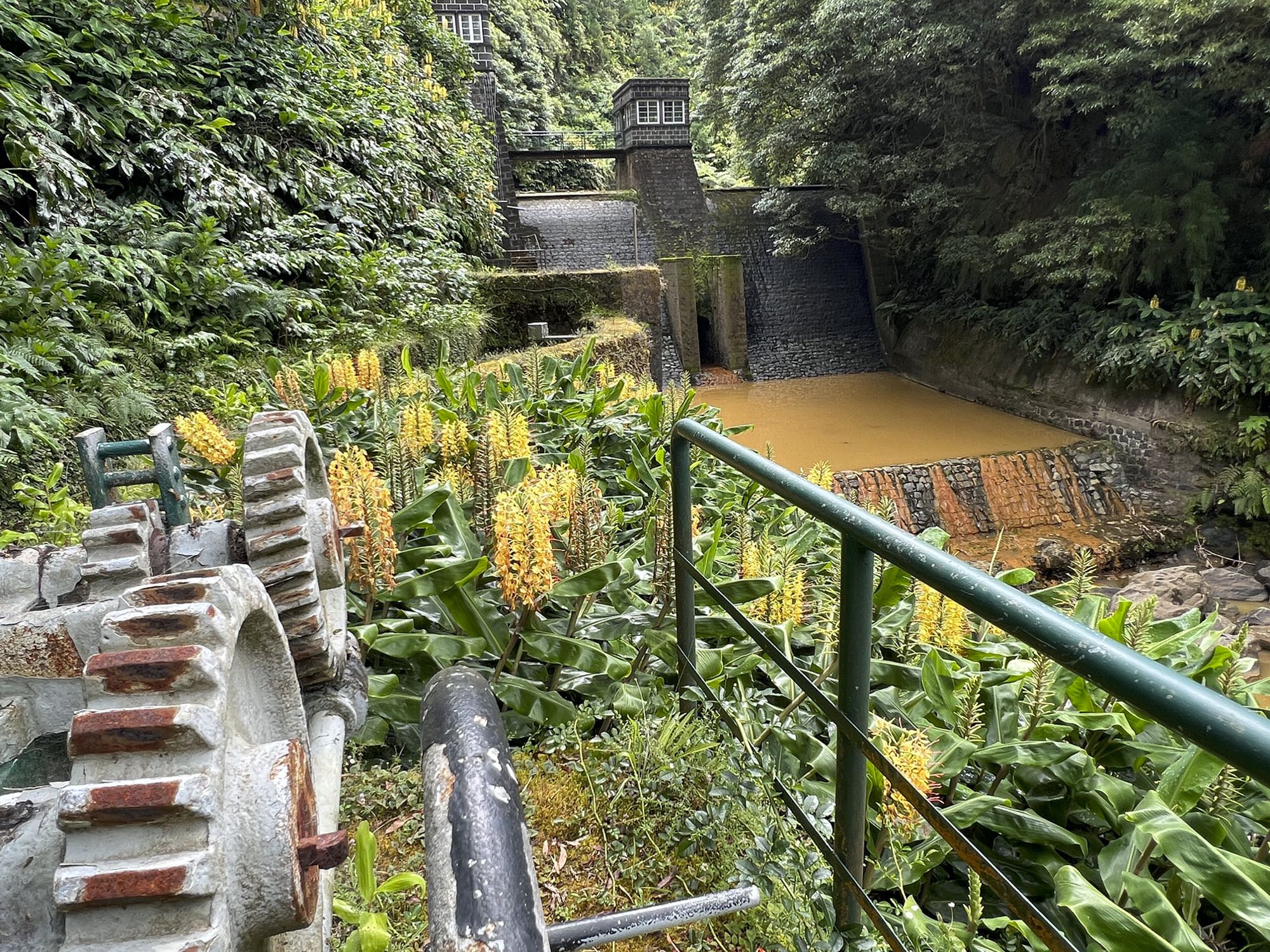 Galeriebild 14