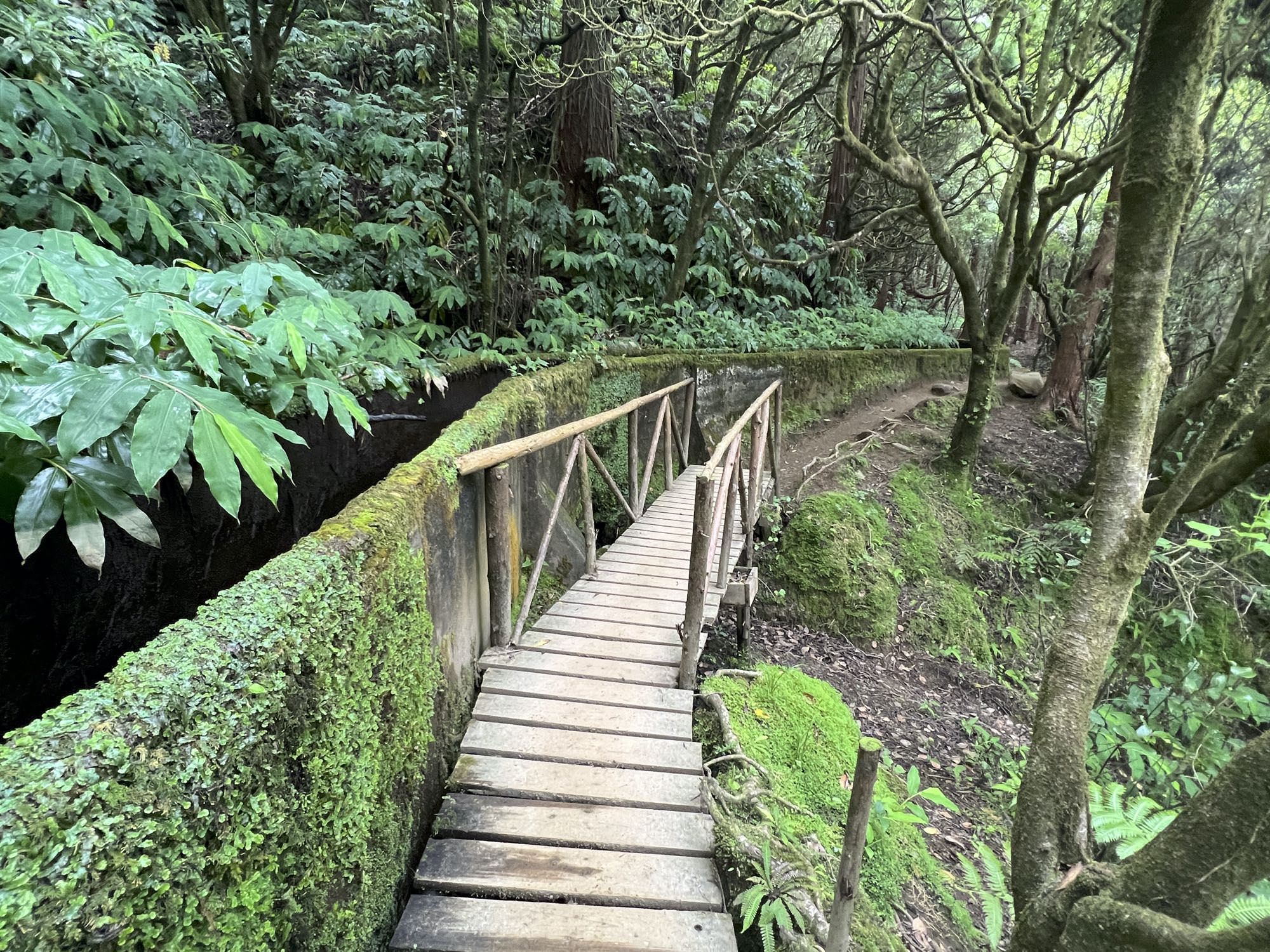 Wanderweg entlang der Levada