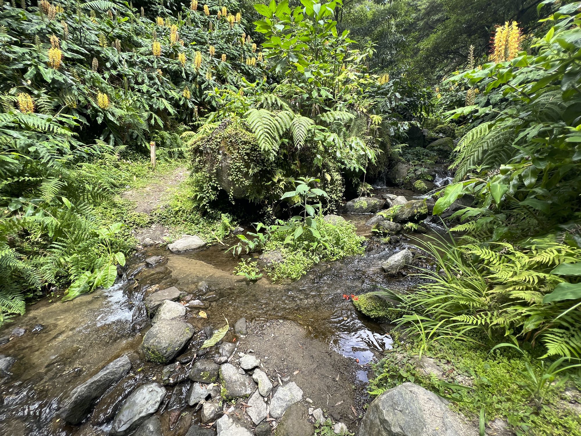 Ribeira do Agrião