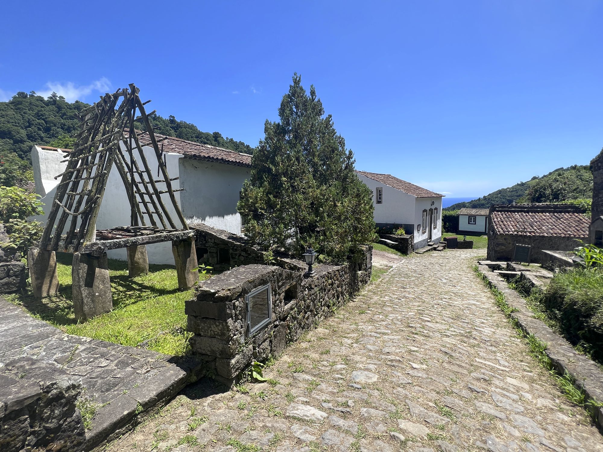 Galeriebild 22