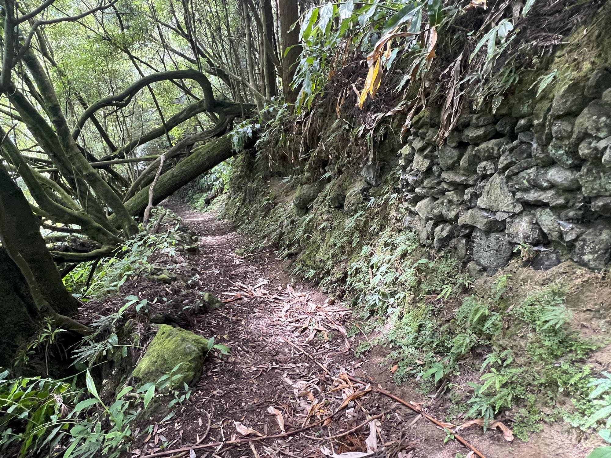 Wanderweg oberhalb Lomba das Fagundas