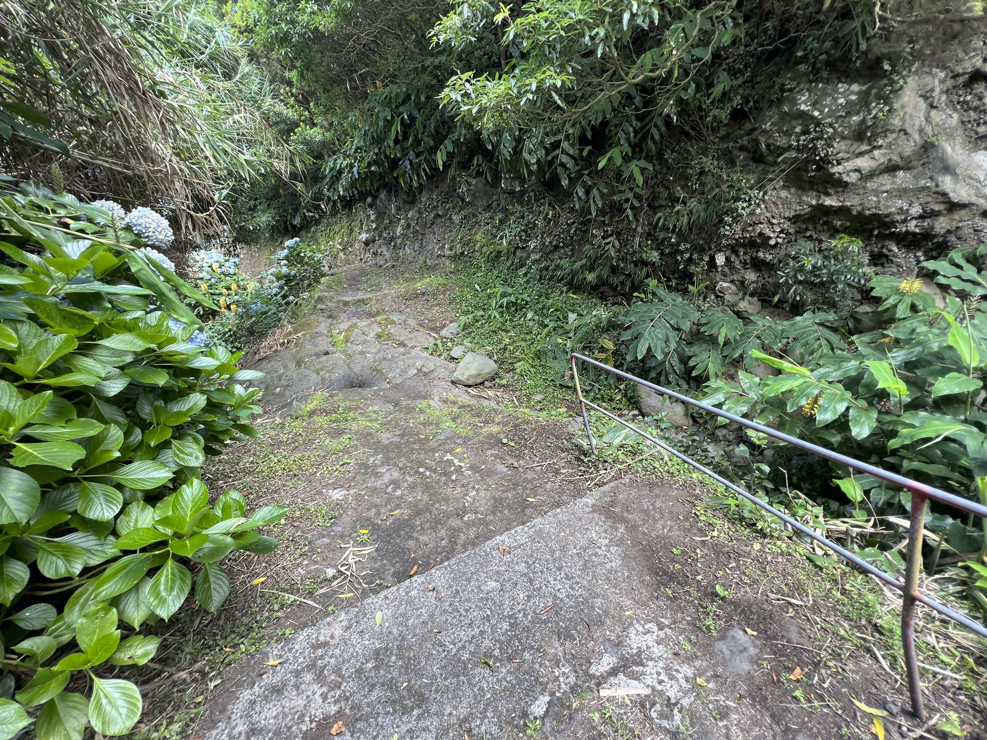 Abstiegsweg nach Fajã do Araújo