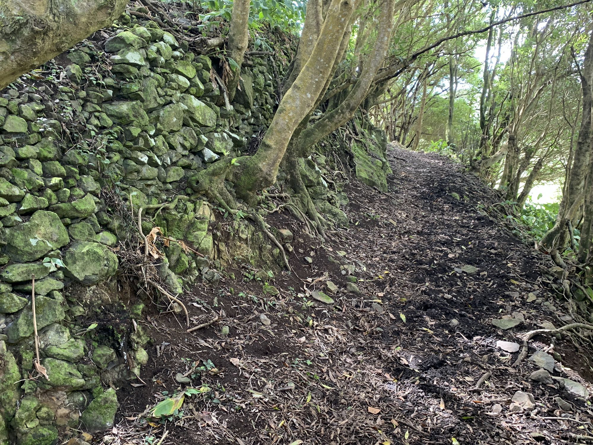 Galeriebild 2