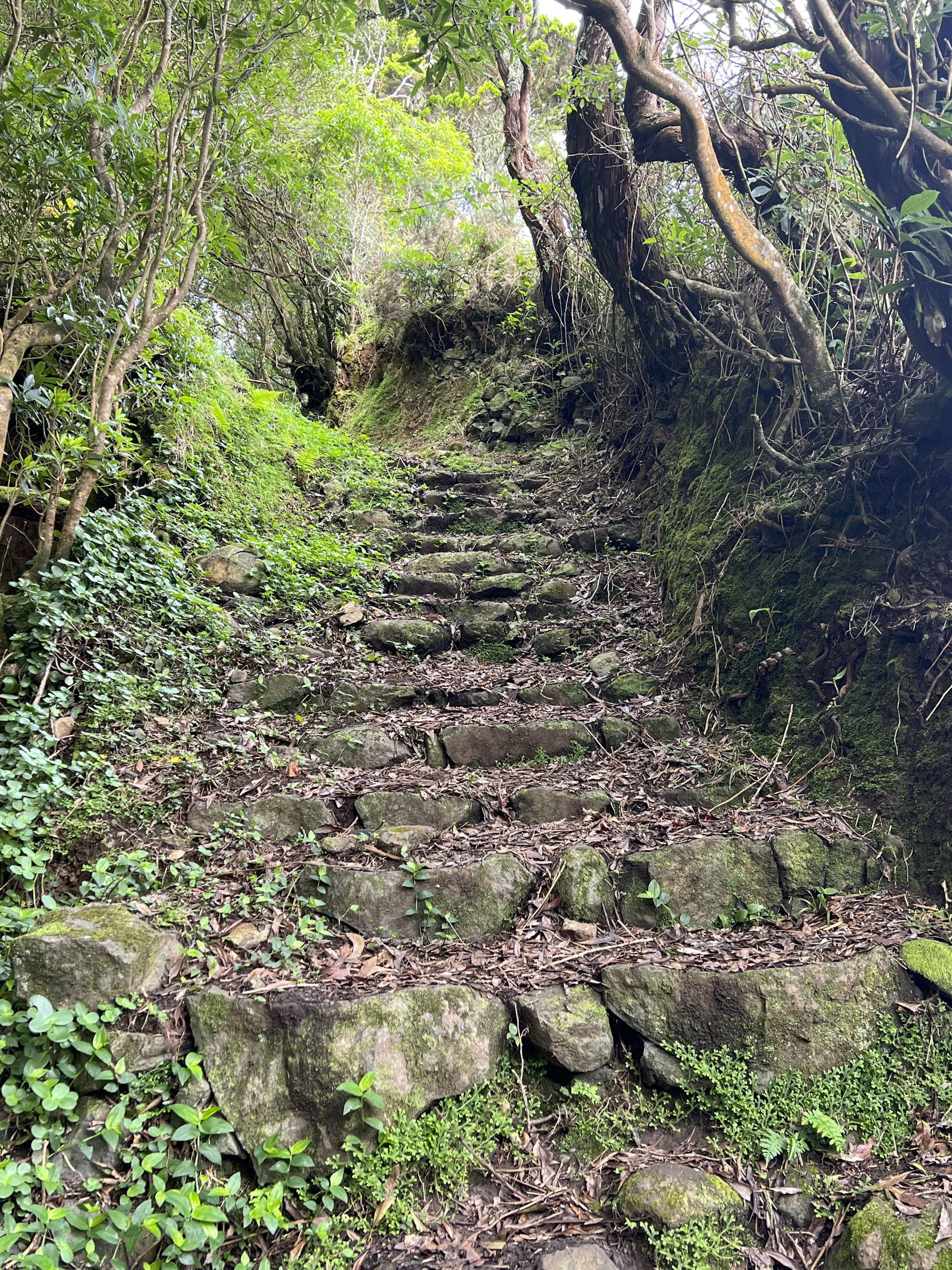 alter Aufstiegsweg zum Pico Alto