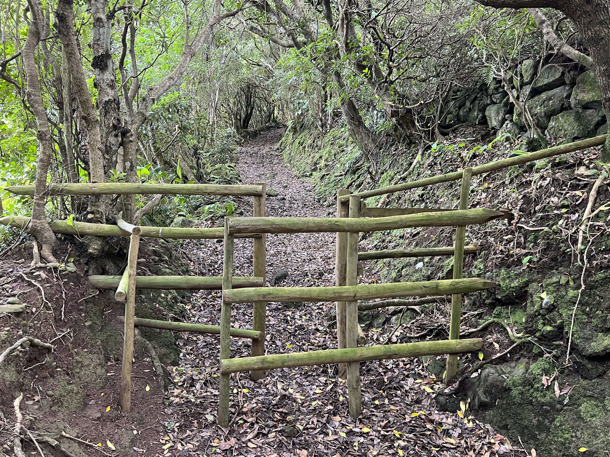 Viehsperre im Tal des Ribeira do Salto