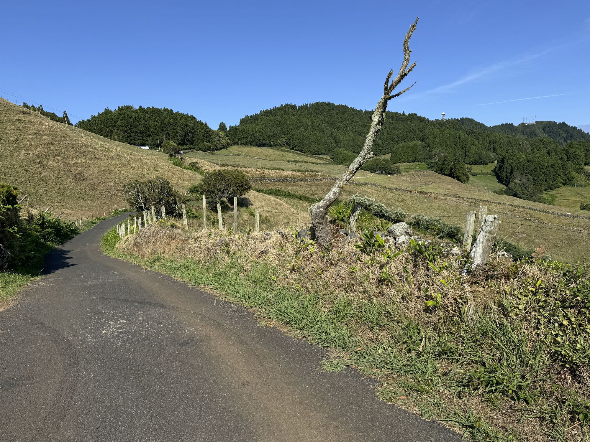 auf dem Weg nach Forno reicht der Blick zurück auf den Gipfel des Pico Alto