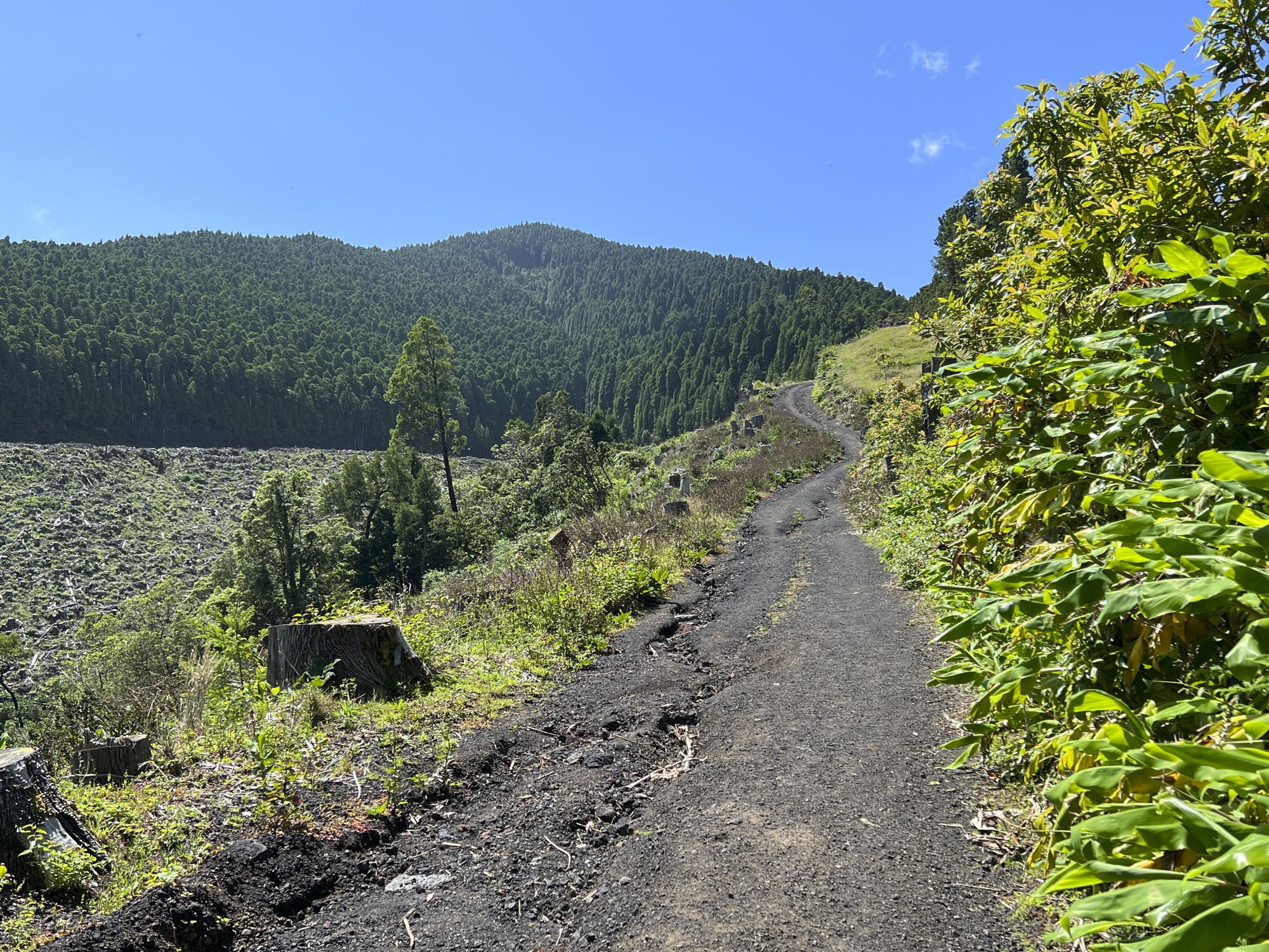 Aufstieg zum Pico da Vara