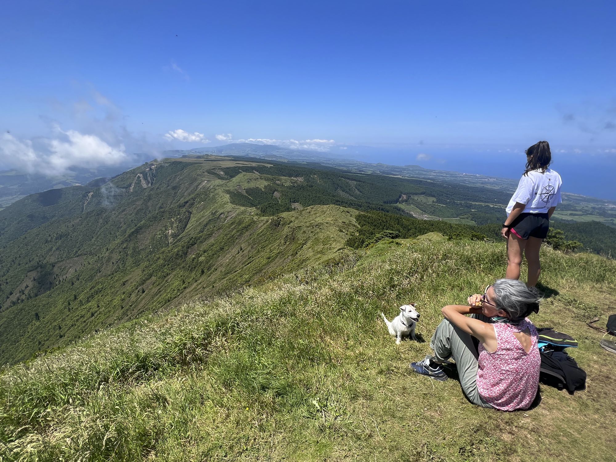 Pico da Vara