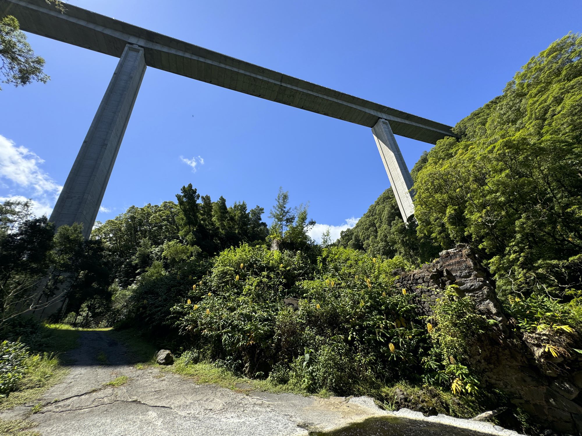 Bajo el puente SCUT en el valle de Ribeira dos Caldeirões