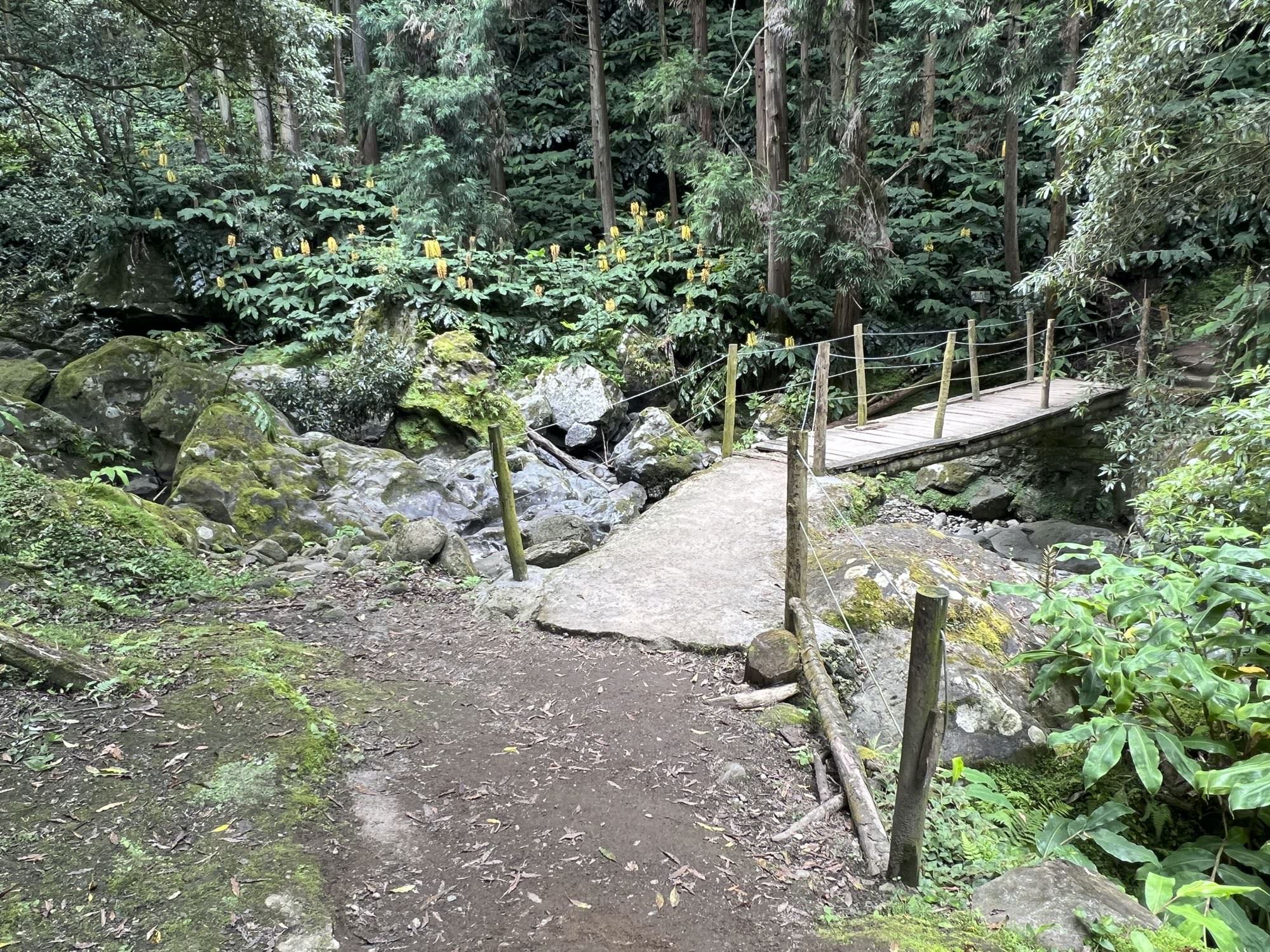 Querung des Ribeira do Cachaço