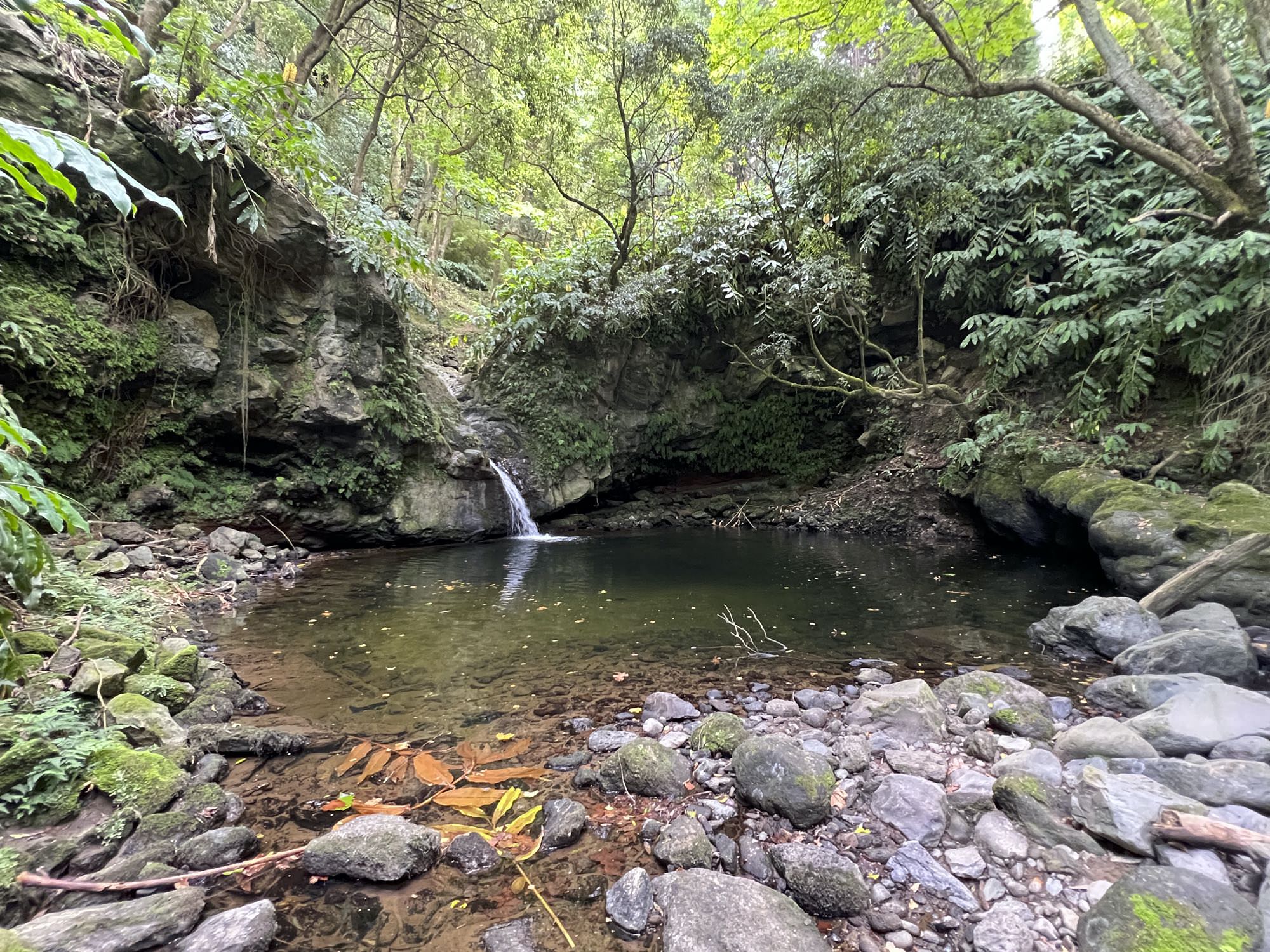 Wasserbecken am Ribeira Funda