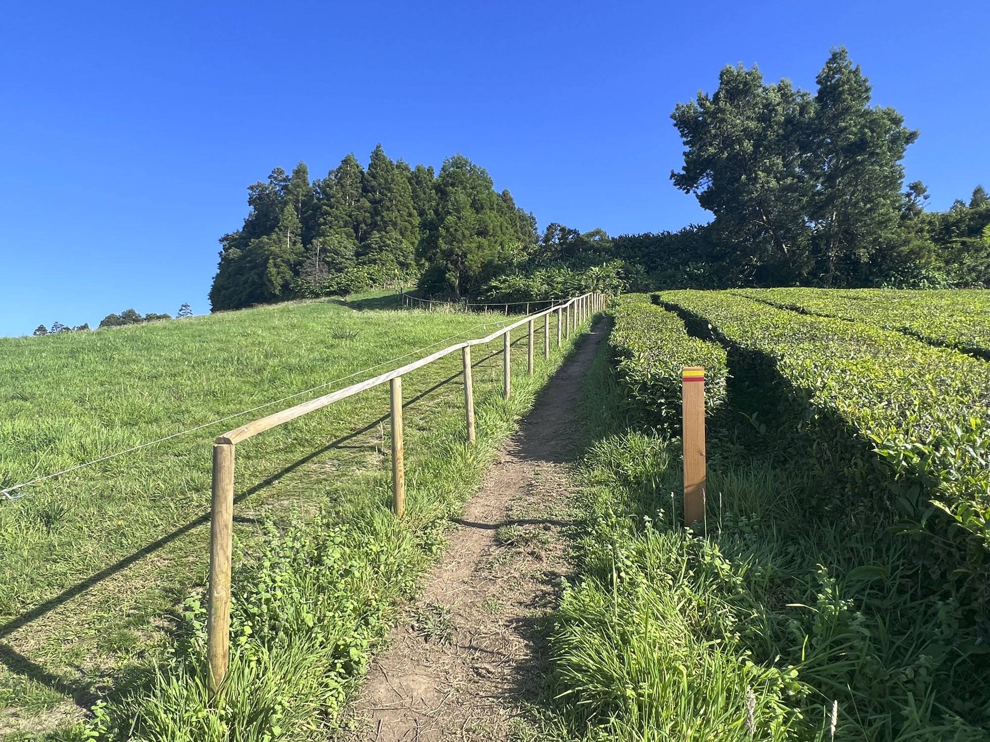 Wanderweg oberhalb von Gorreana
