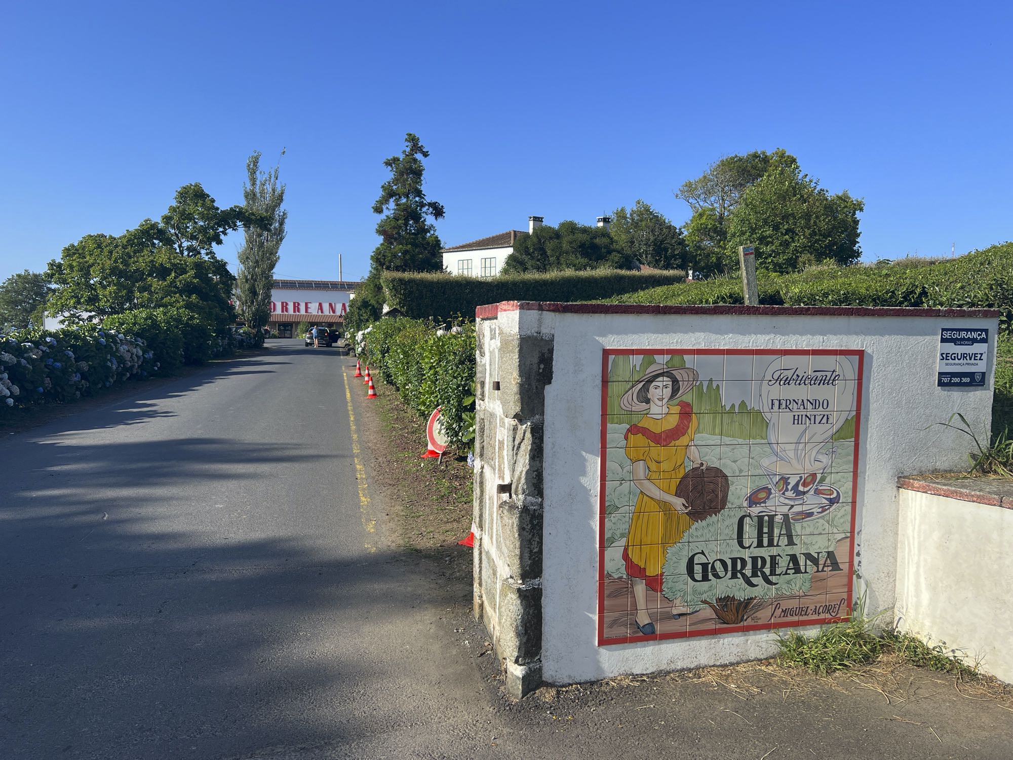 Einfahrt zur Fábrica de Chá Gorreana