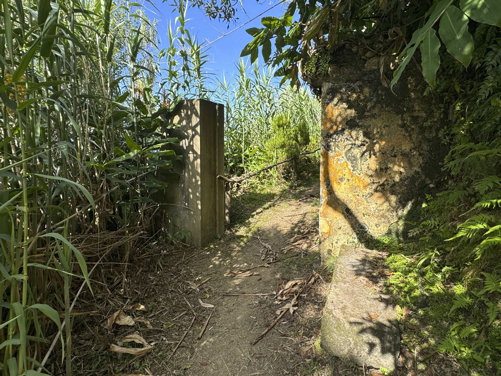 Tor zum Abstiegsweg nach Ladeira da Velha