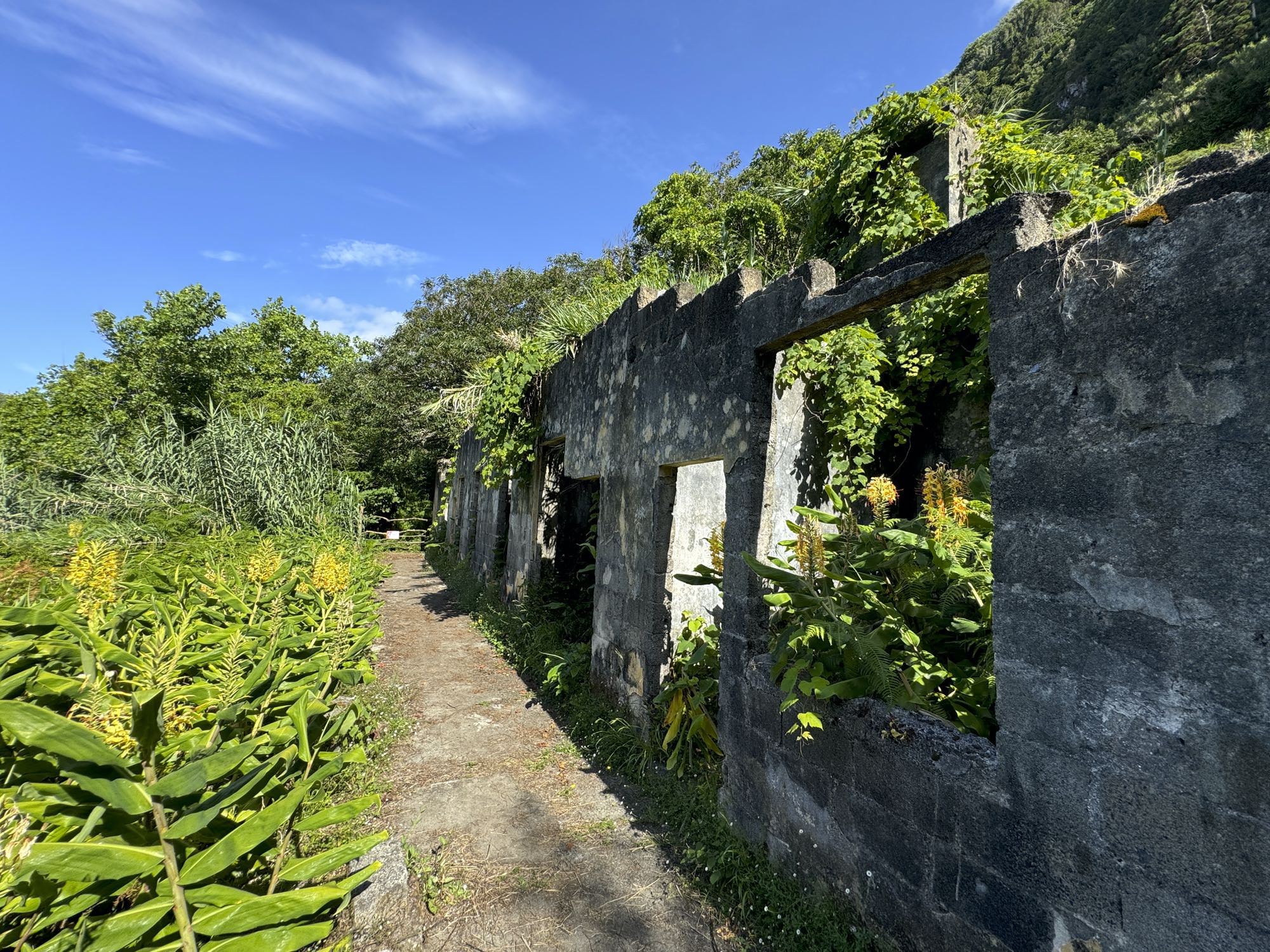 Ruinas das Termas da Ladeira Da Velha