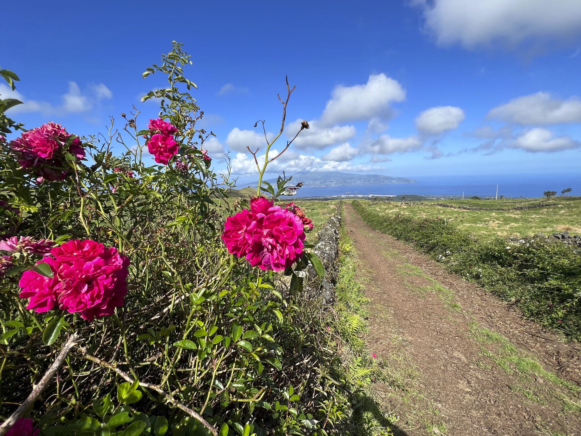 Abstieg Richtung Quinta das Rosas mit Blick auf Faial