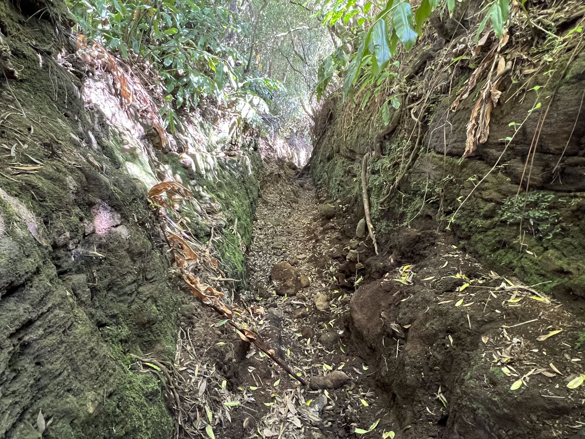 Rückweg hinab nach São Roque do Pico