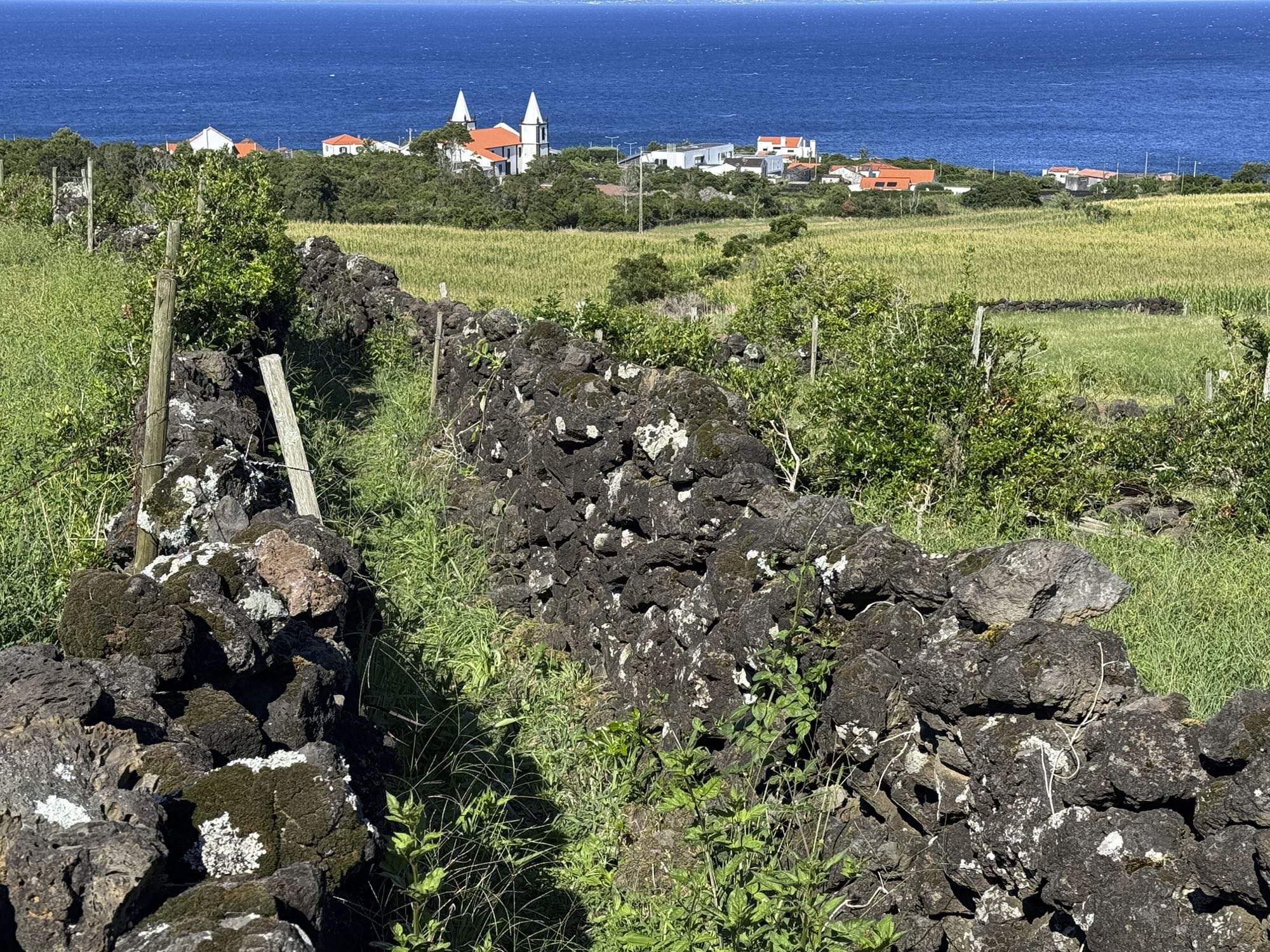 Blick zurück nach São Roque do Pico