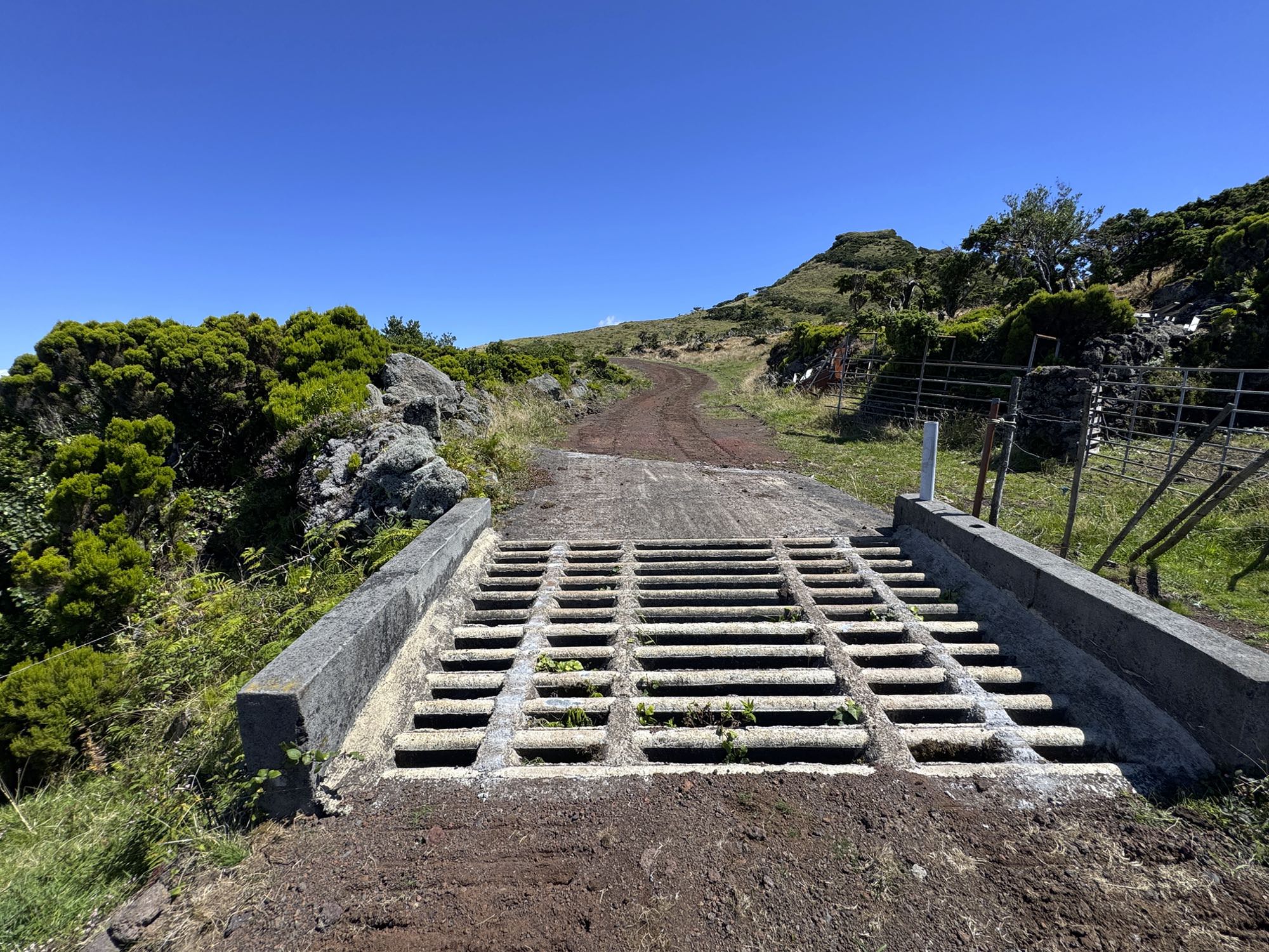 Die Viehweiden im Hochland sind durch Rinderroste getrennt