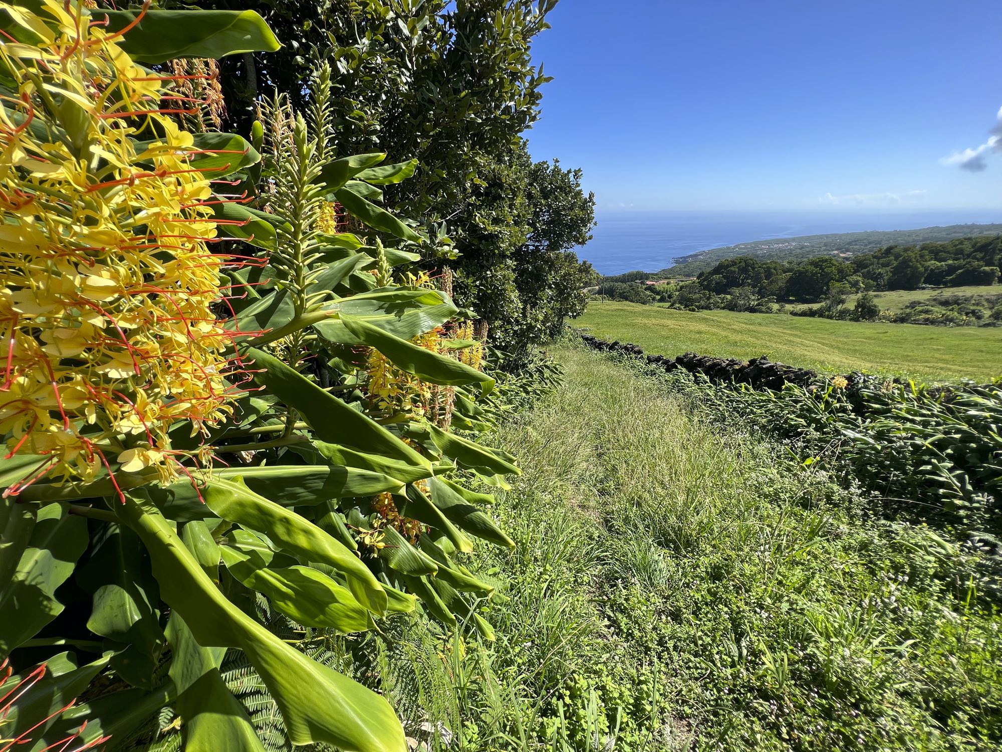 Karrenweg nach Ribeirinha