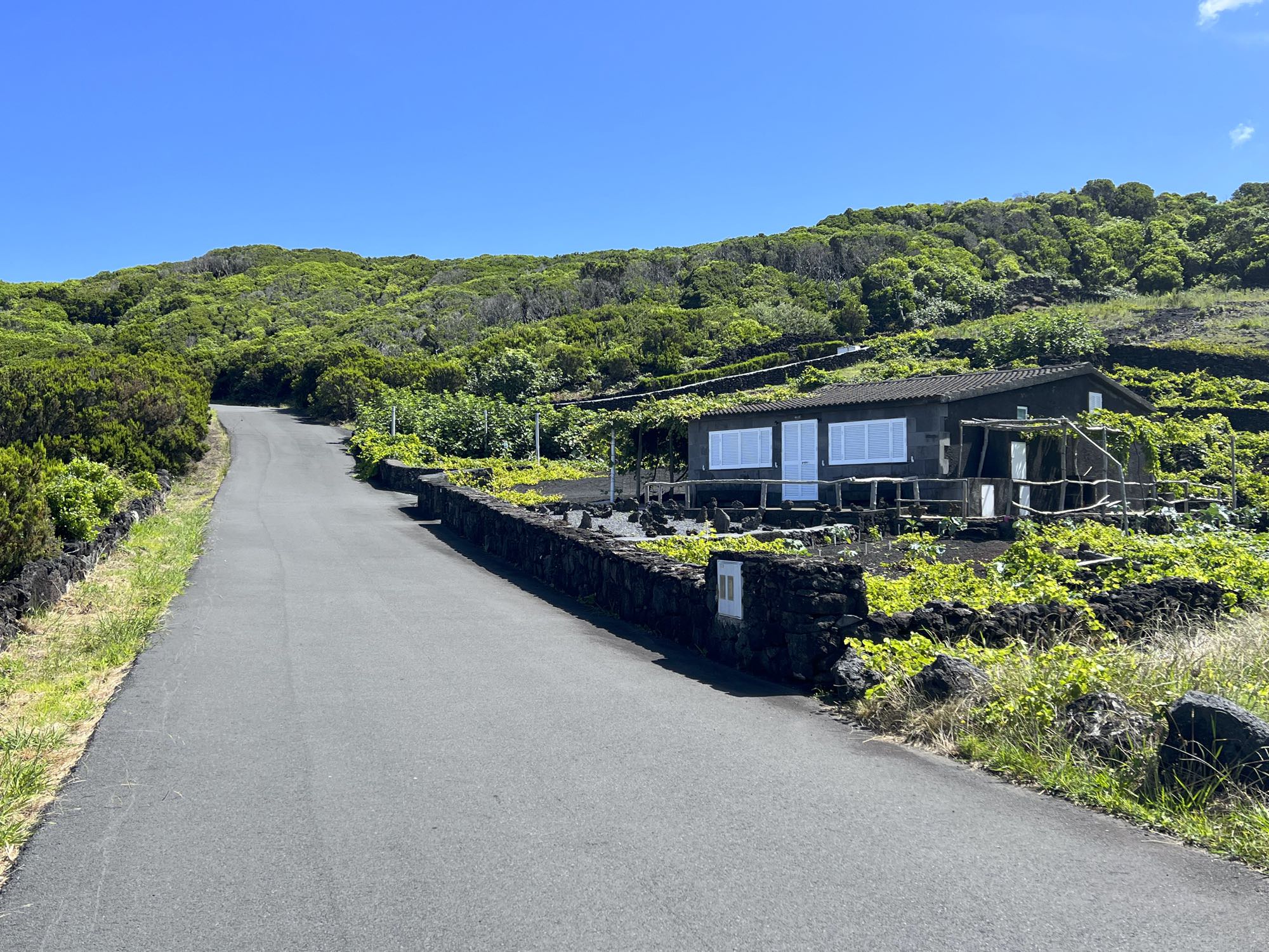 Wegabschnitt an der Ponta Gorda
