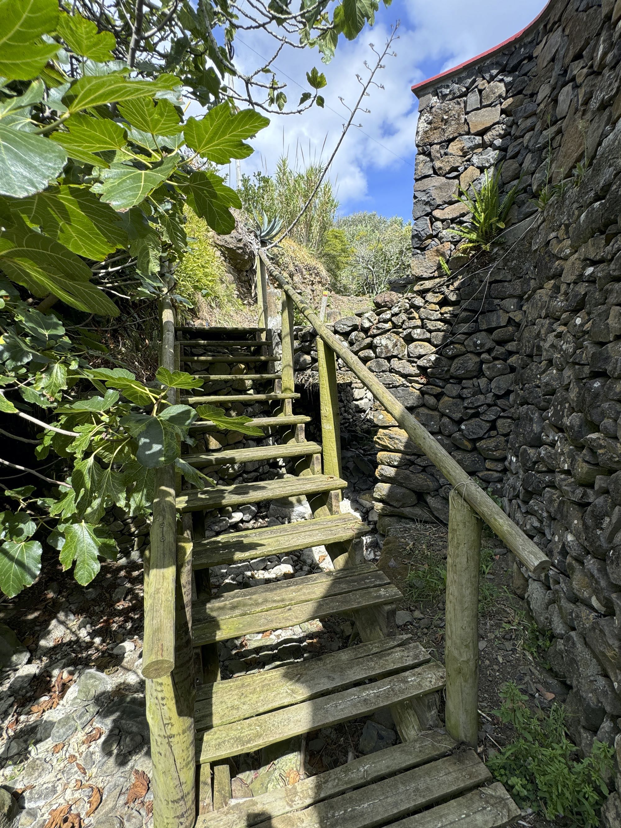 Galeriebild 26