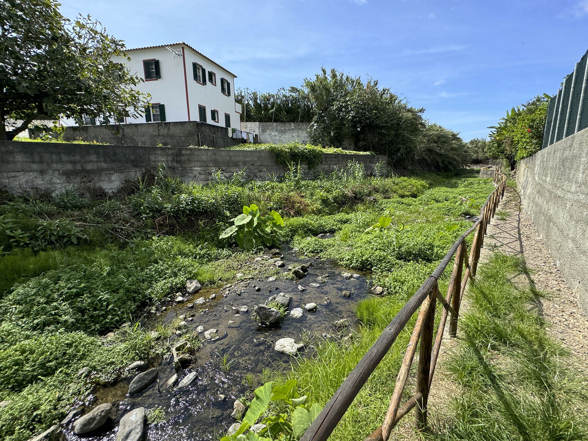 Galeriebild 27