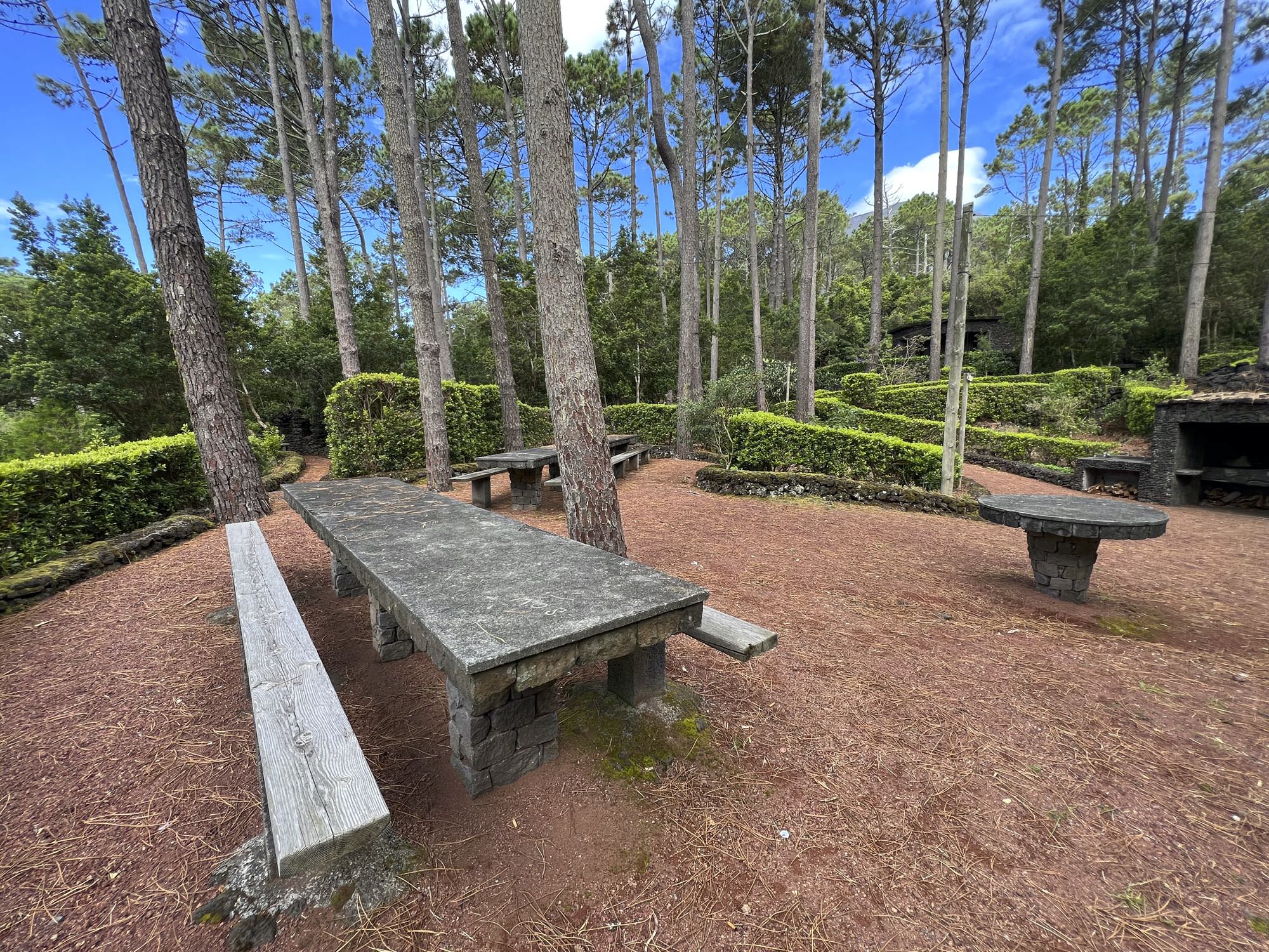 Parque Florestal e Recreio de São João