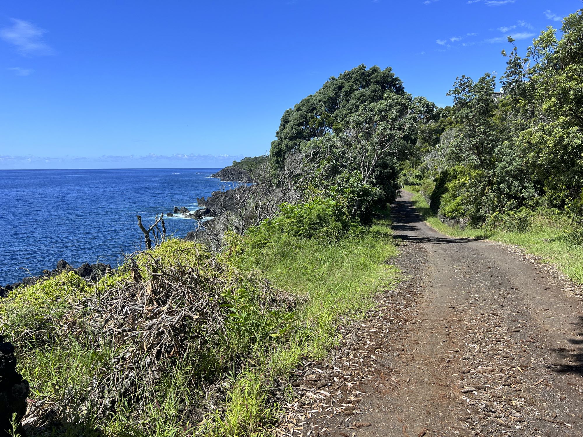 Küstenwanderweg nach São João