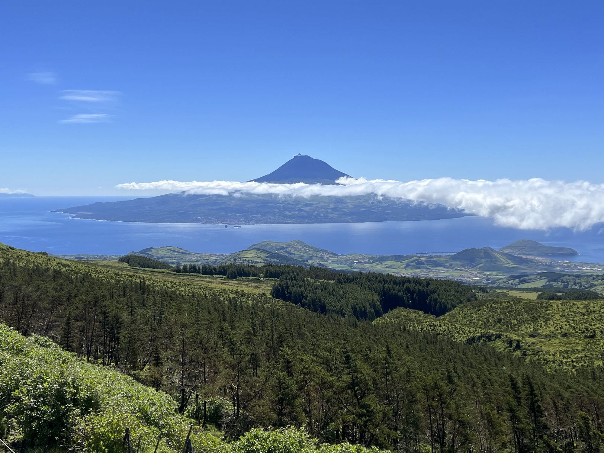 Blick von der Caldeira über den Kanal nach Pico