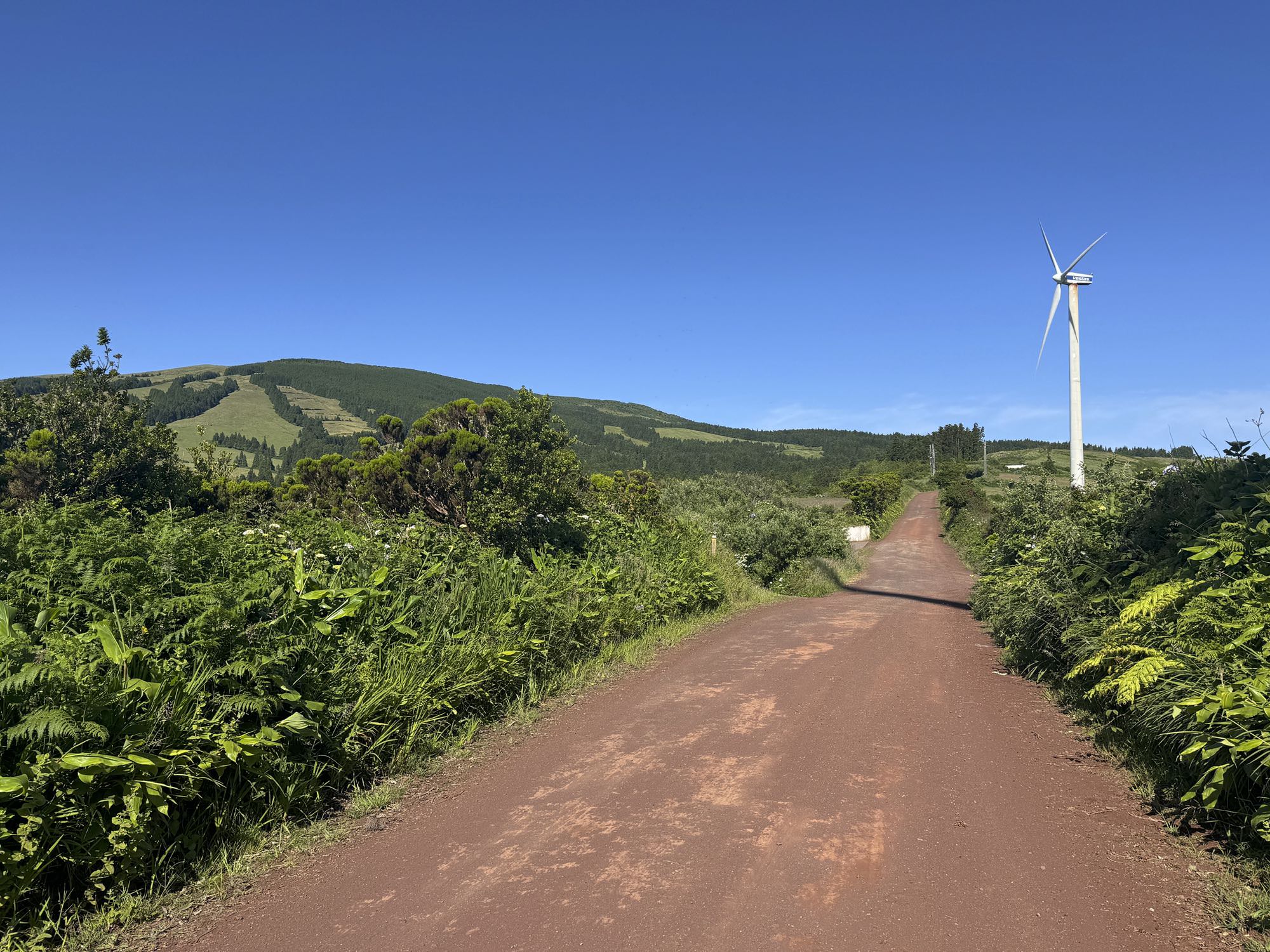 Der Windpark von Faial oberhalb von Salão