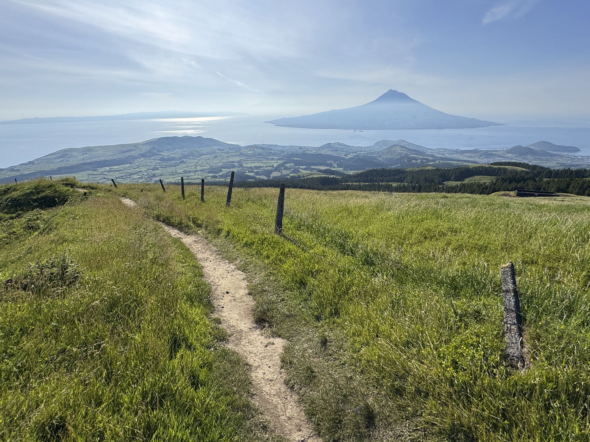 Blick nach Pico vom Höhenweg