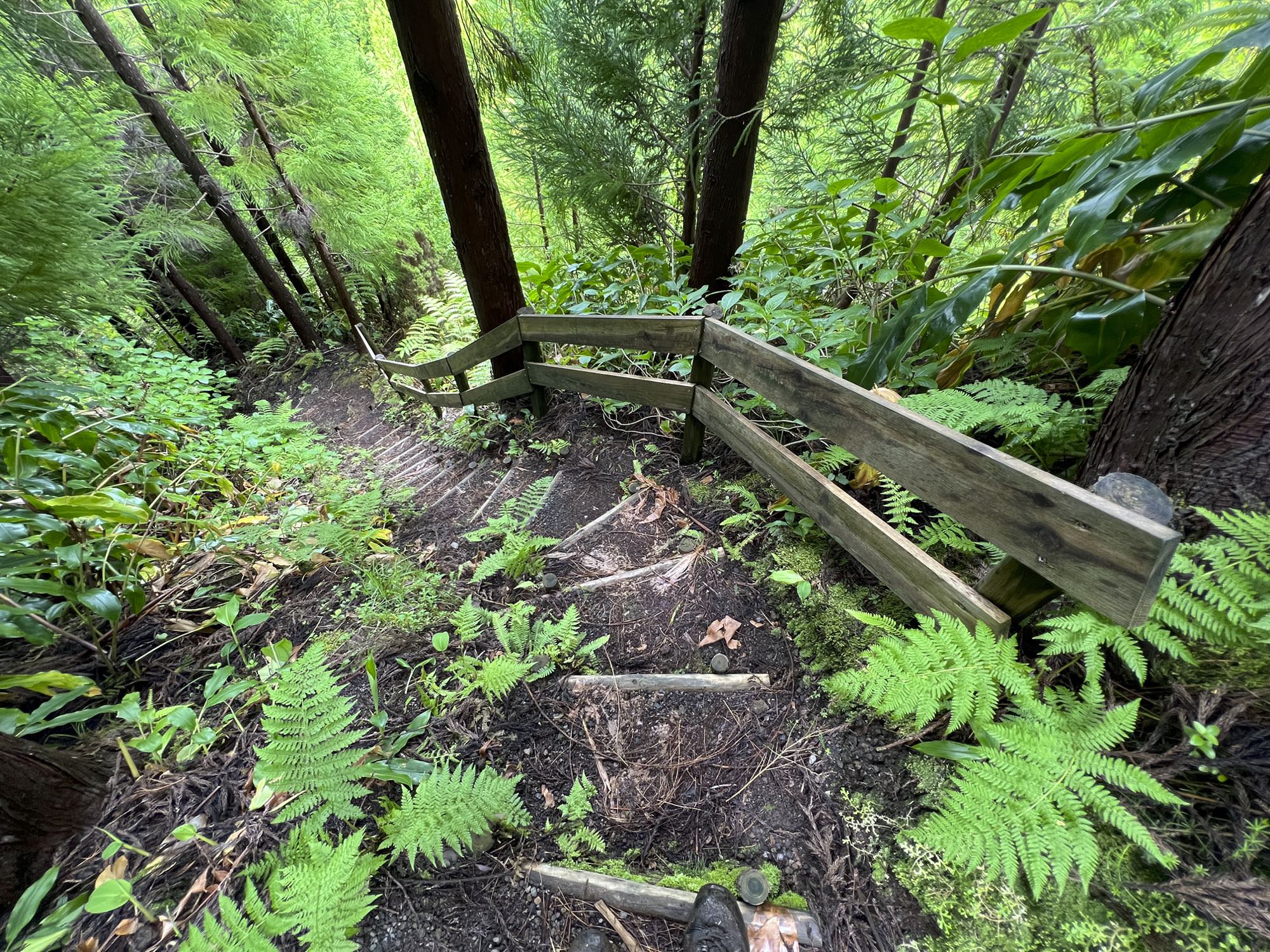 Ein abgebrochenes Stück Levada muss über steile Treppen umgangen werden