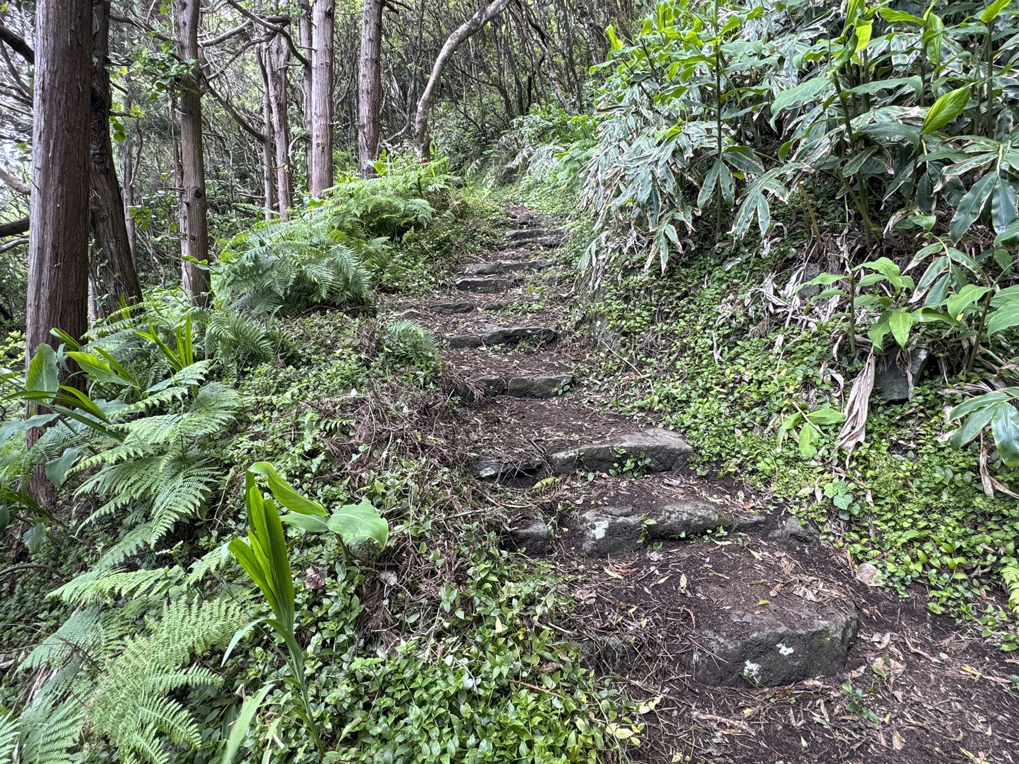 Ein schmaler Serpentinenweg führt hinab nach Fajã