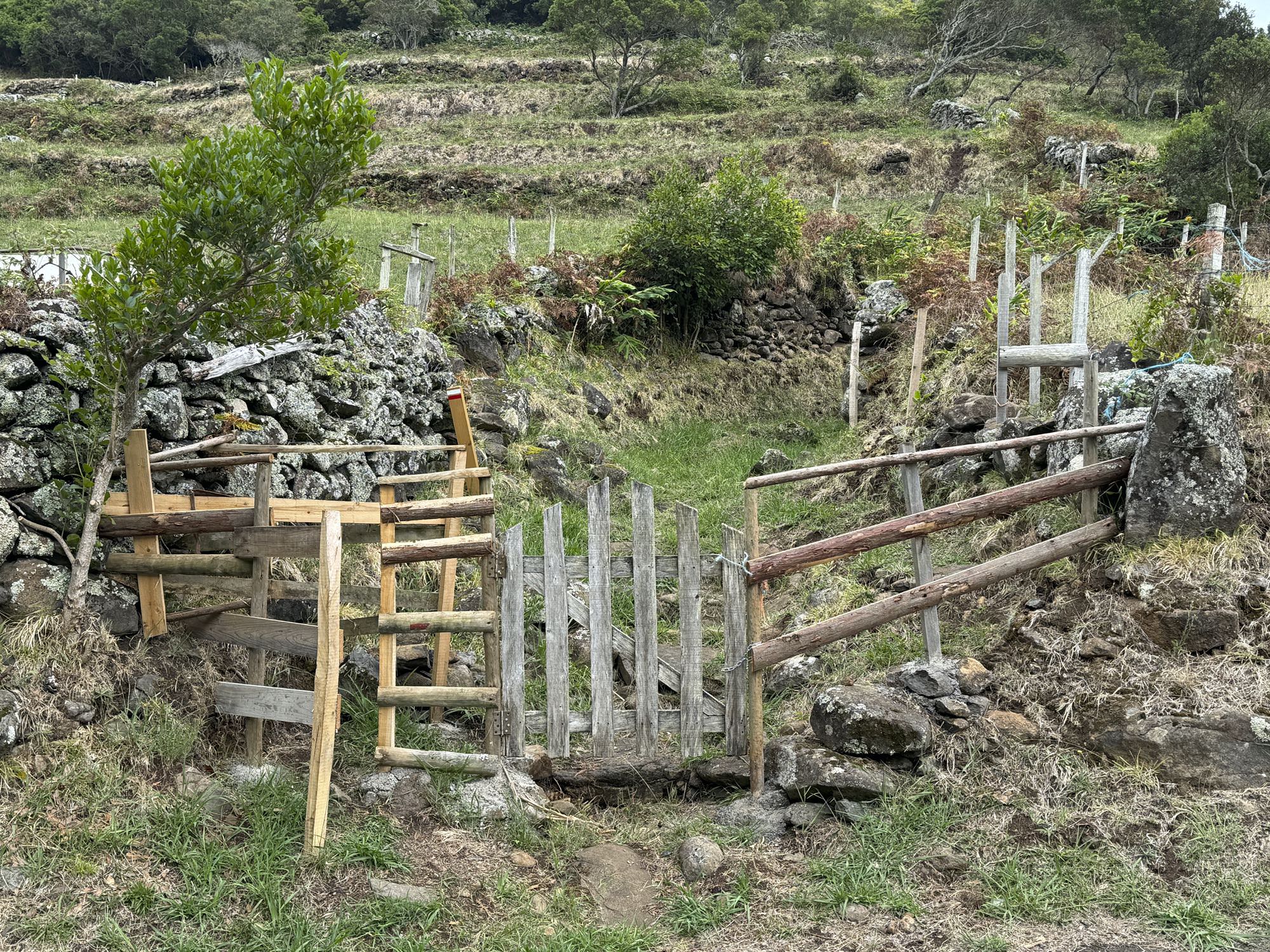 Viehsperre im Tal des Ribeira do Salto