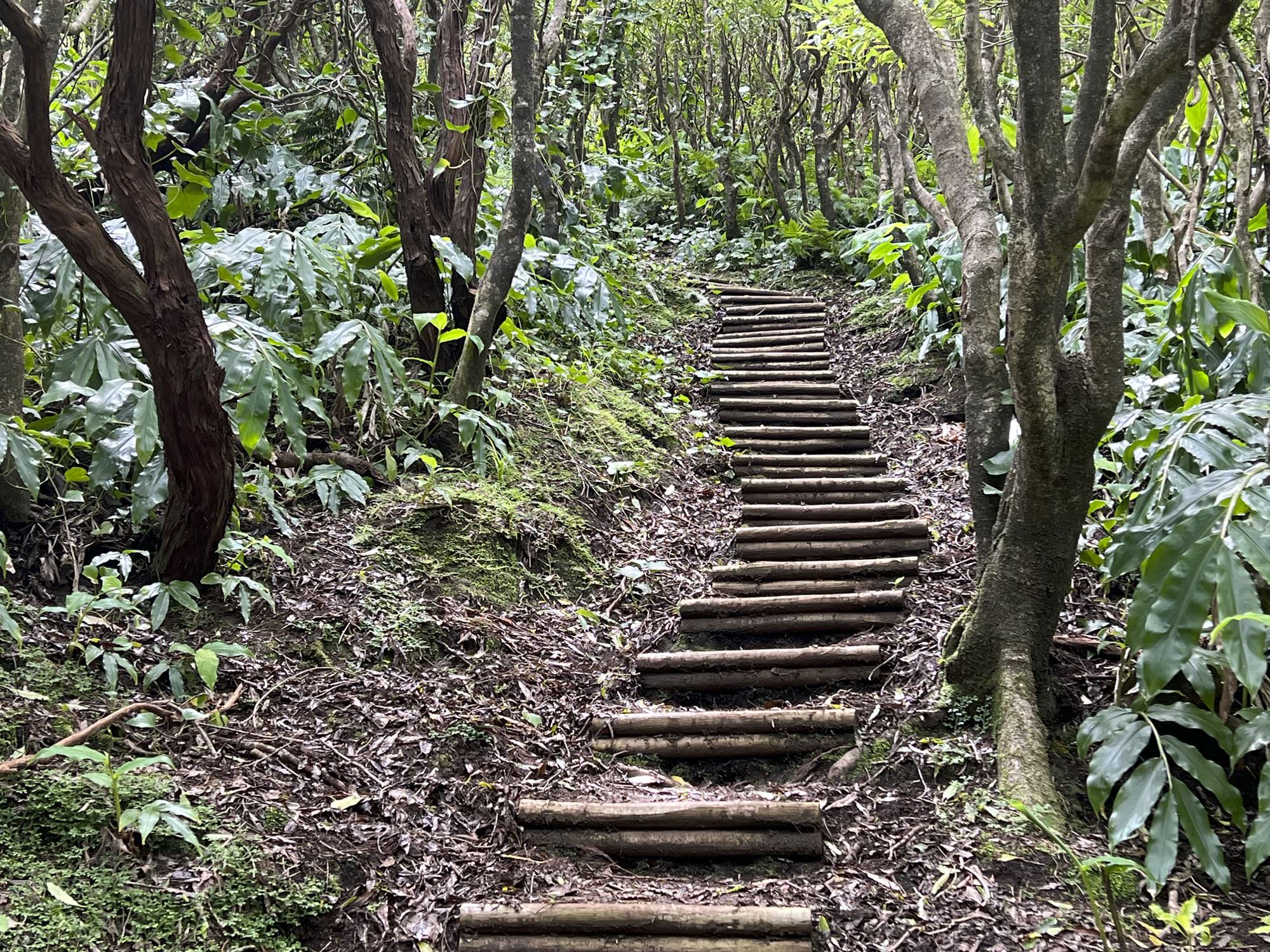 Abstieg am Caldeirão