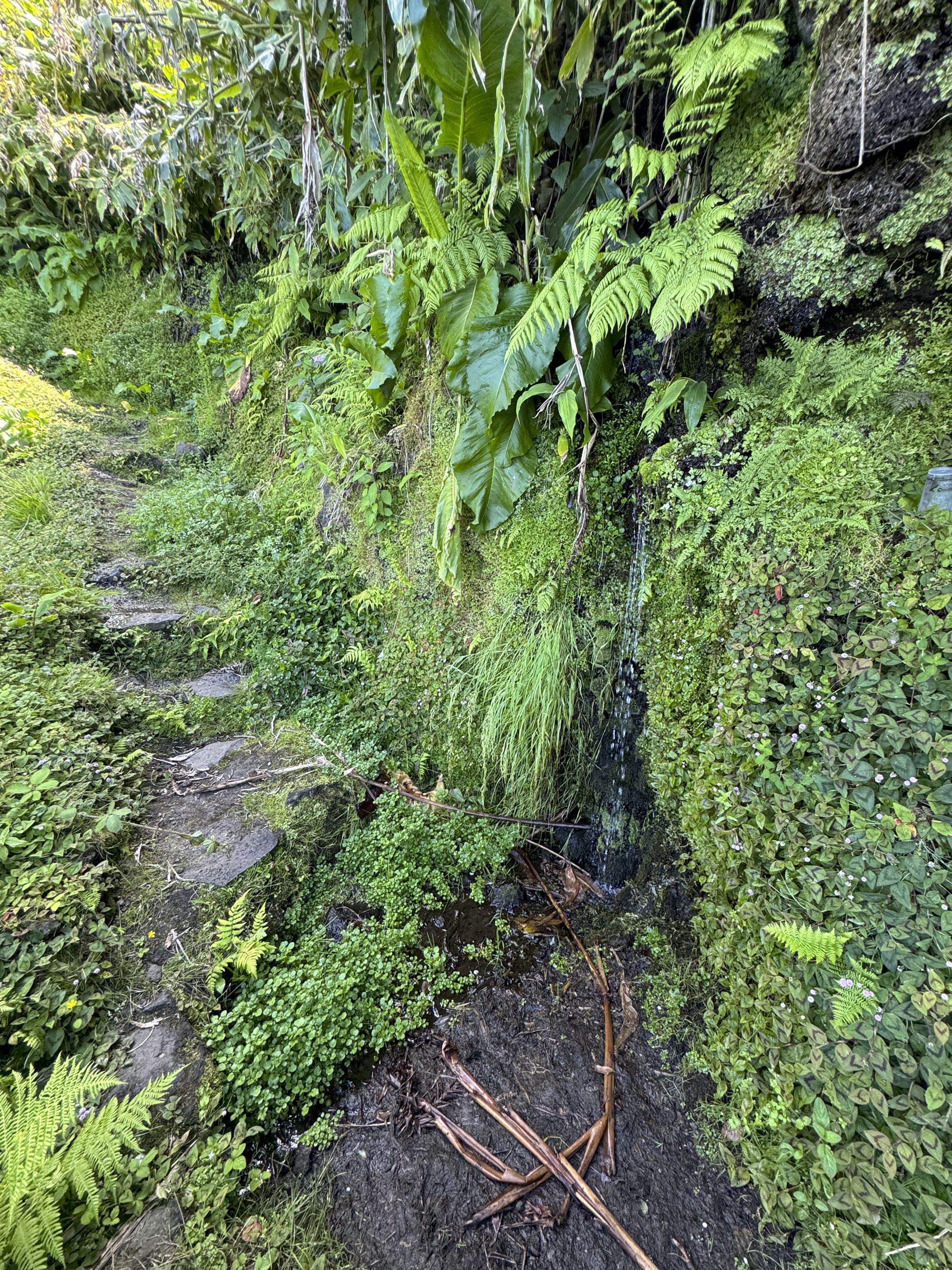 Felsquellen entlang des Aufstiegswegs