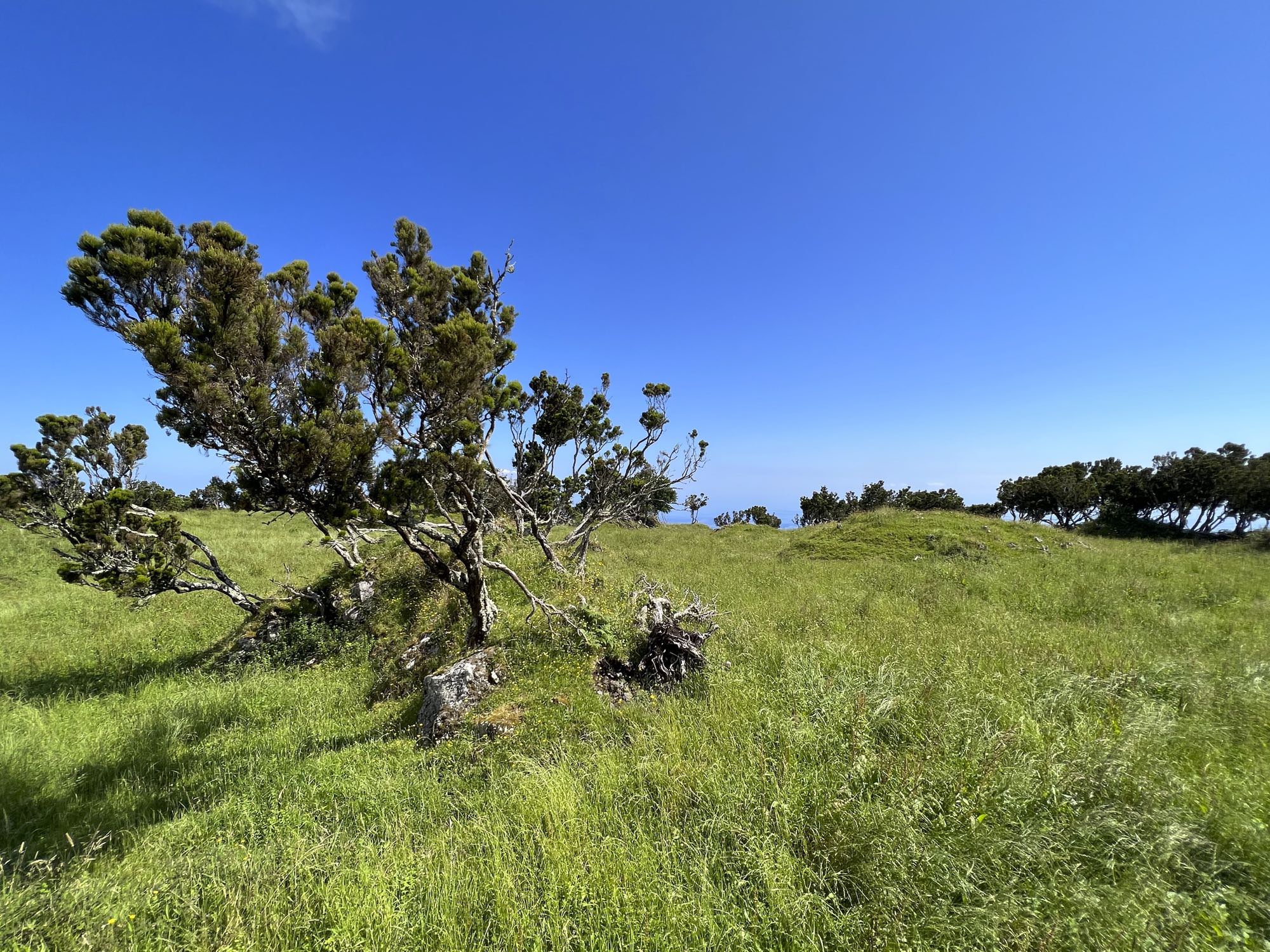 Galeriebild 8