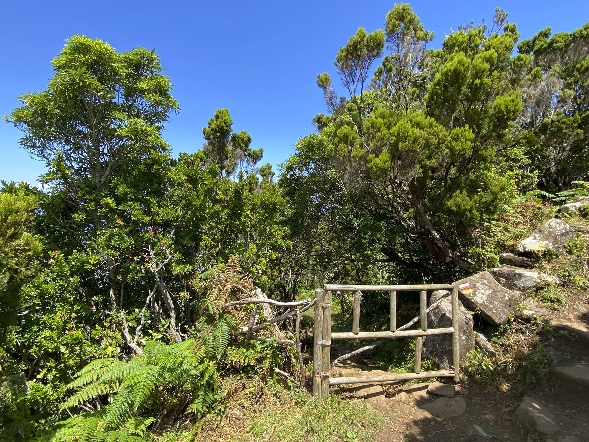 Puerta de ganado a lo largo del camino a Fajã da Caldeira de Cima