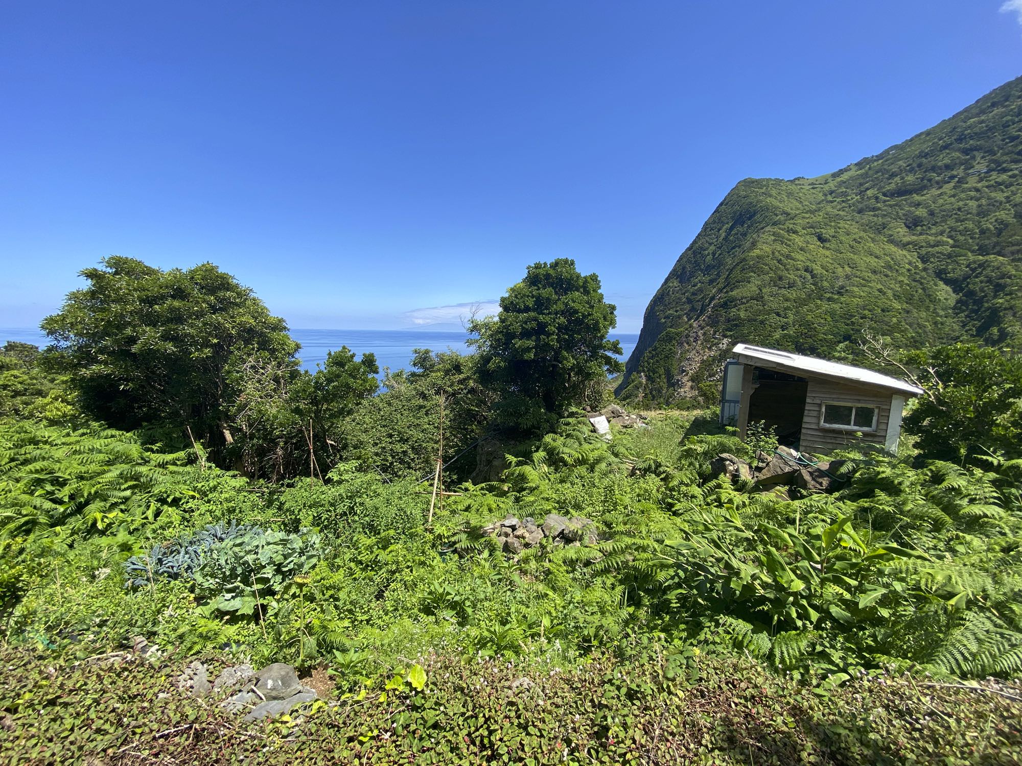 Fajã da Caldeira de Cima
