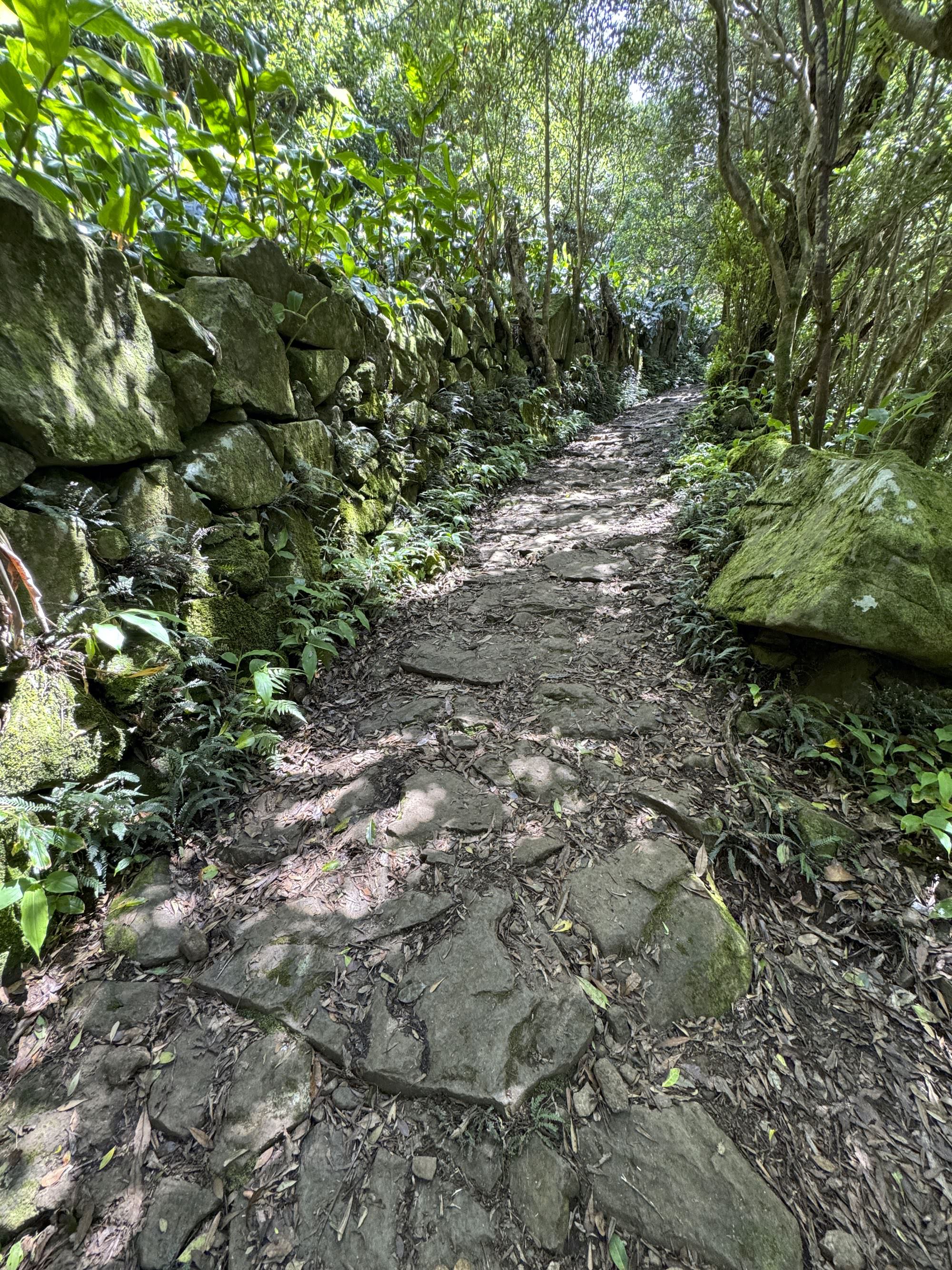 Un amplio camino de herradura conduce a Fajã da Caldeira de Cima