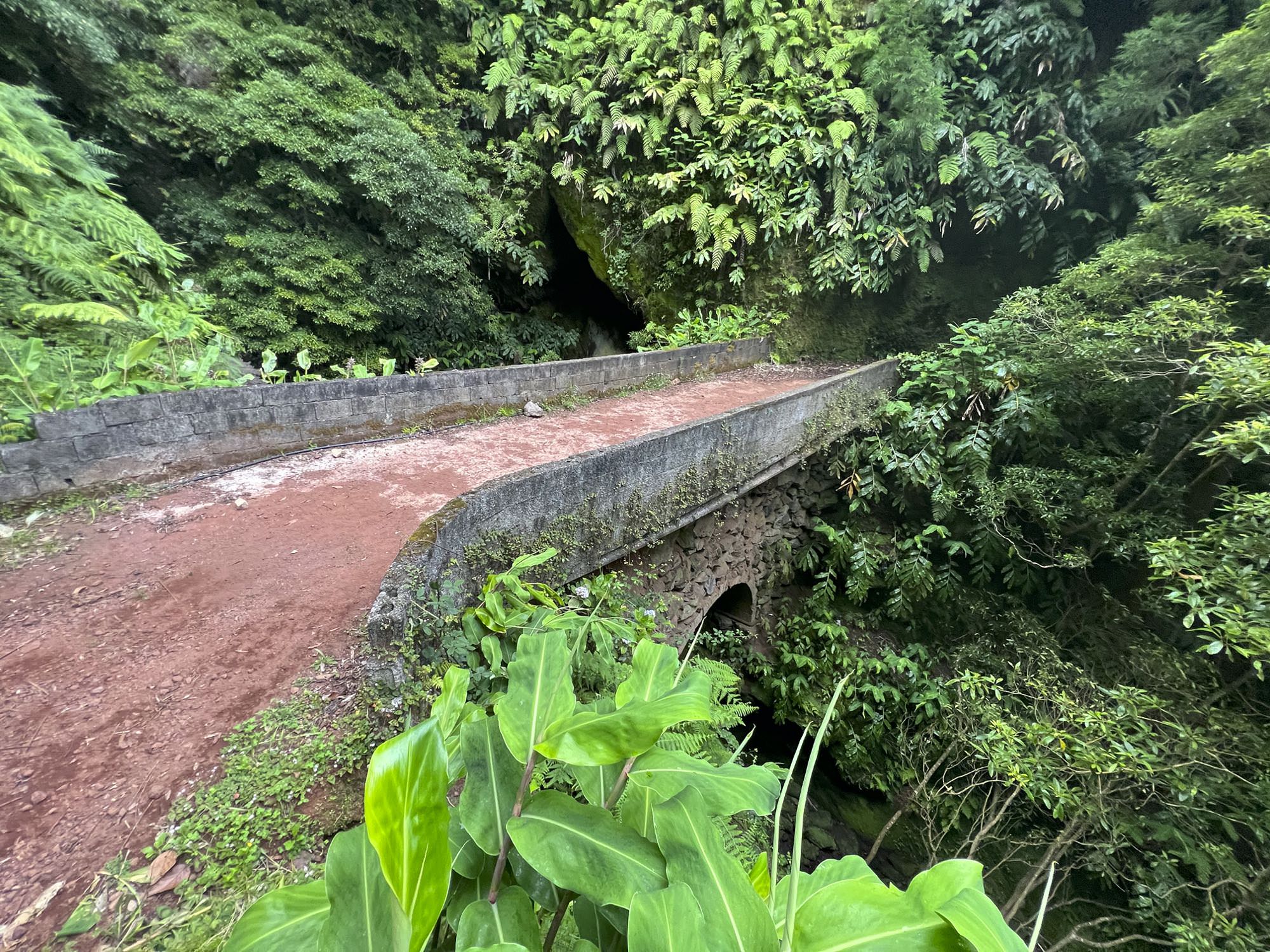 Brücke über den Ribeira do Salto