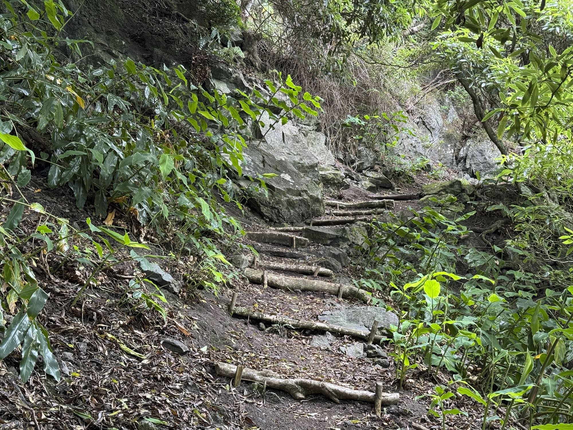 Wegabschnitt von Fajã do Cavalete nach Loural