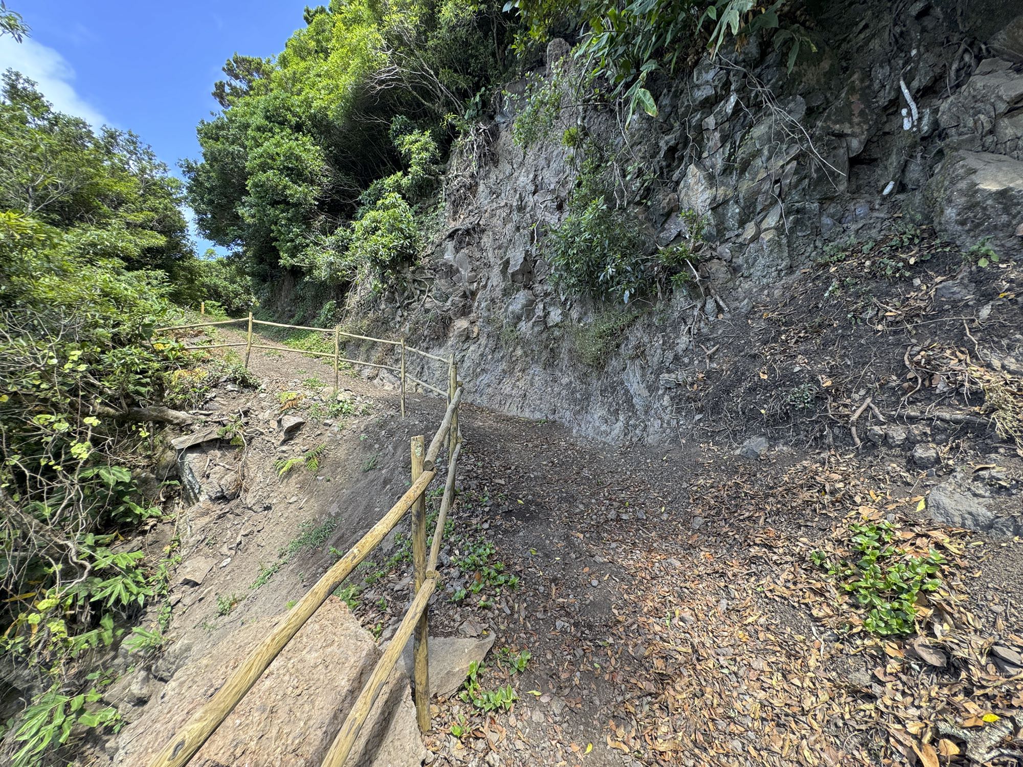 am Weg hinab nach Fajã de São João kommt es immer wieder zu Hangrutschungen