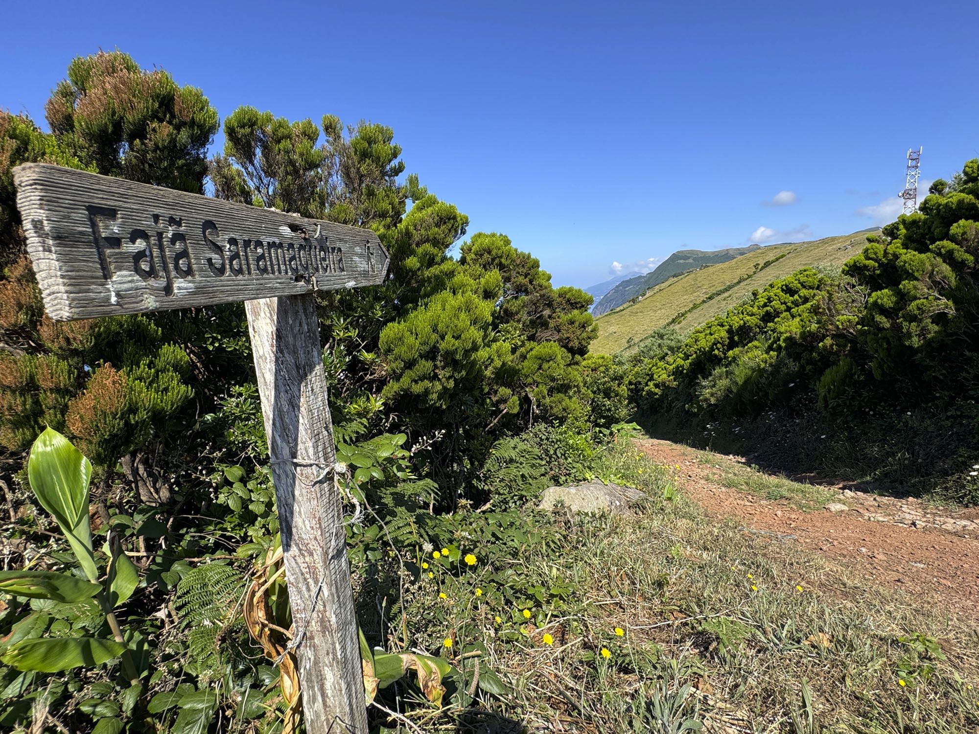 Abstieg nach Fajã da Saramagueira