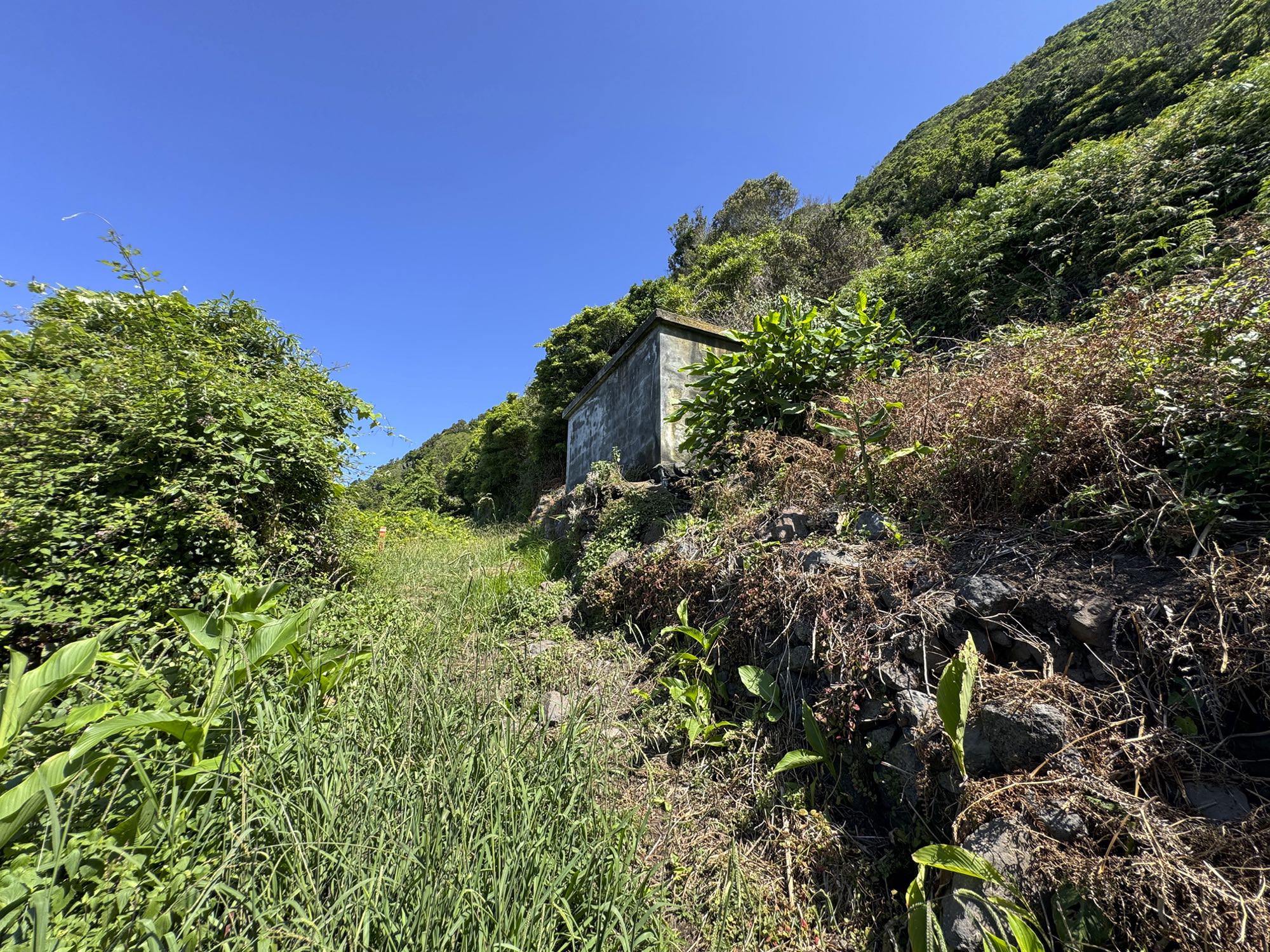 Abstiegsweg nach Fajã da Saramagueira