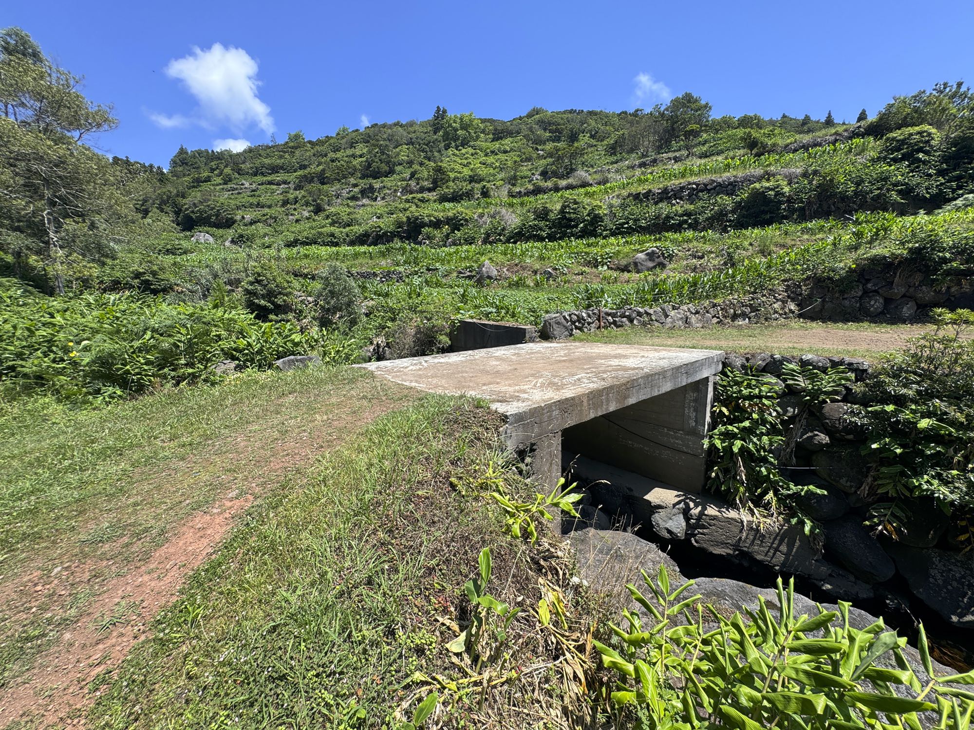 Ribeira de São Tomé