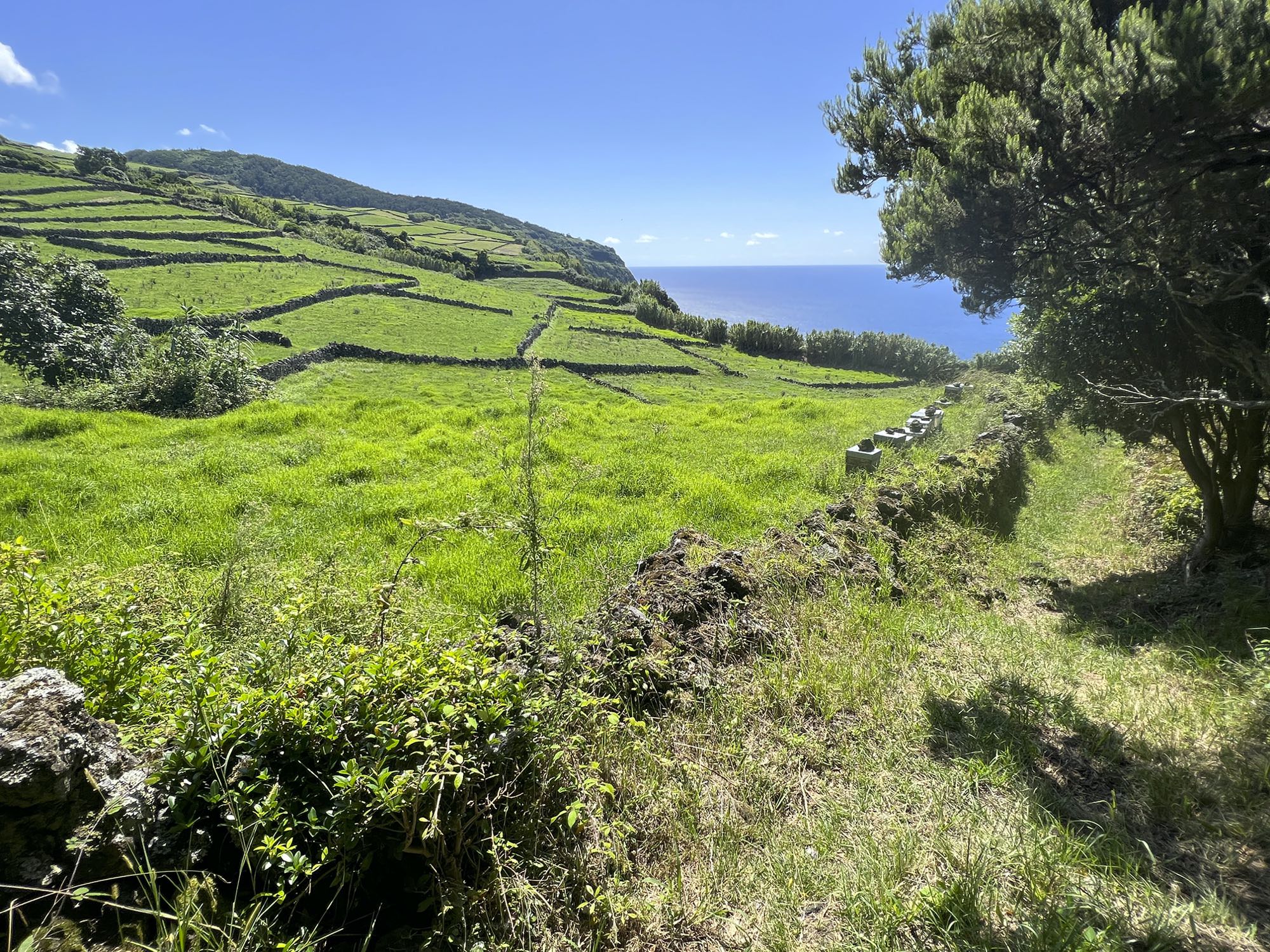 Tramo del sendero debajo de Serreta