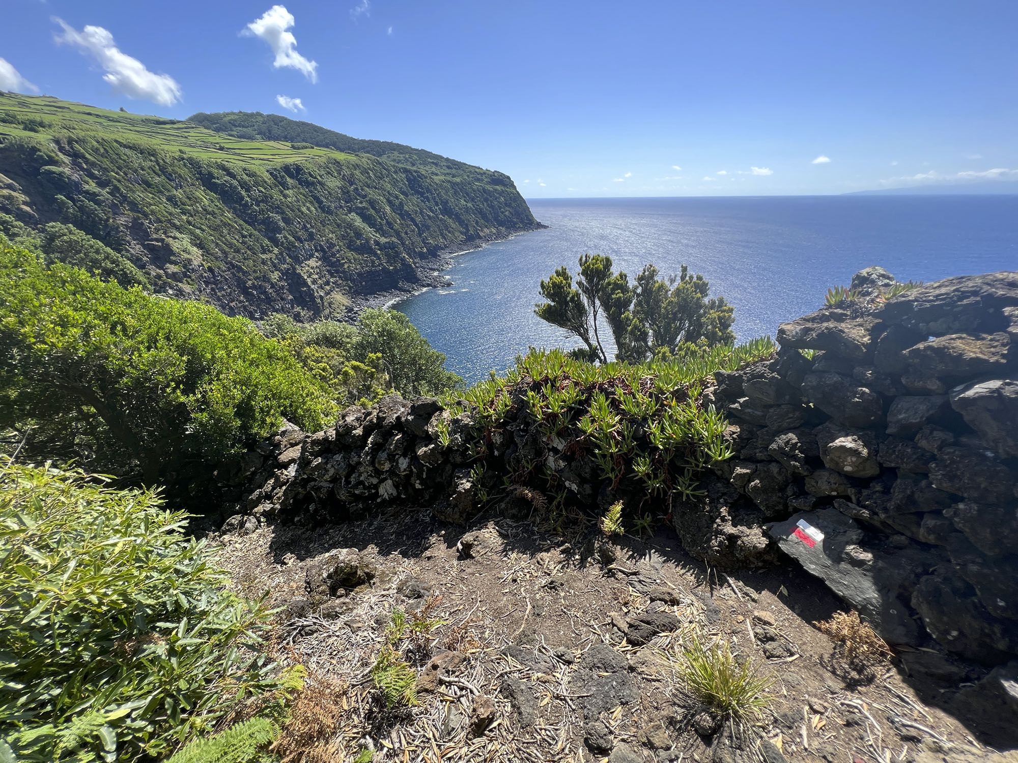 Vista de la costa oeste debajo de Serreta